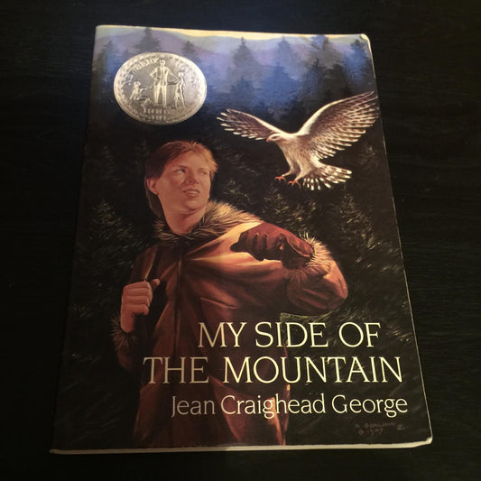 My Side of the Mountain book cover