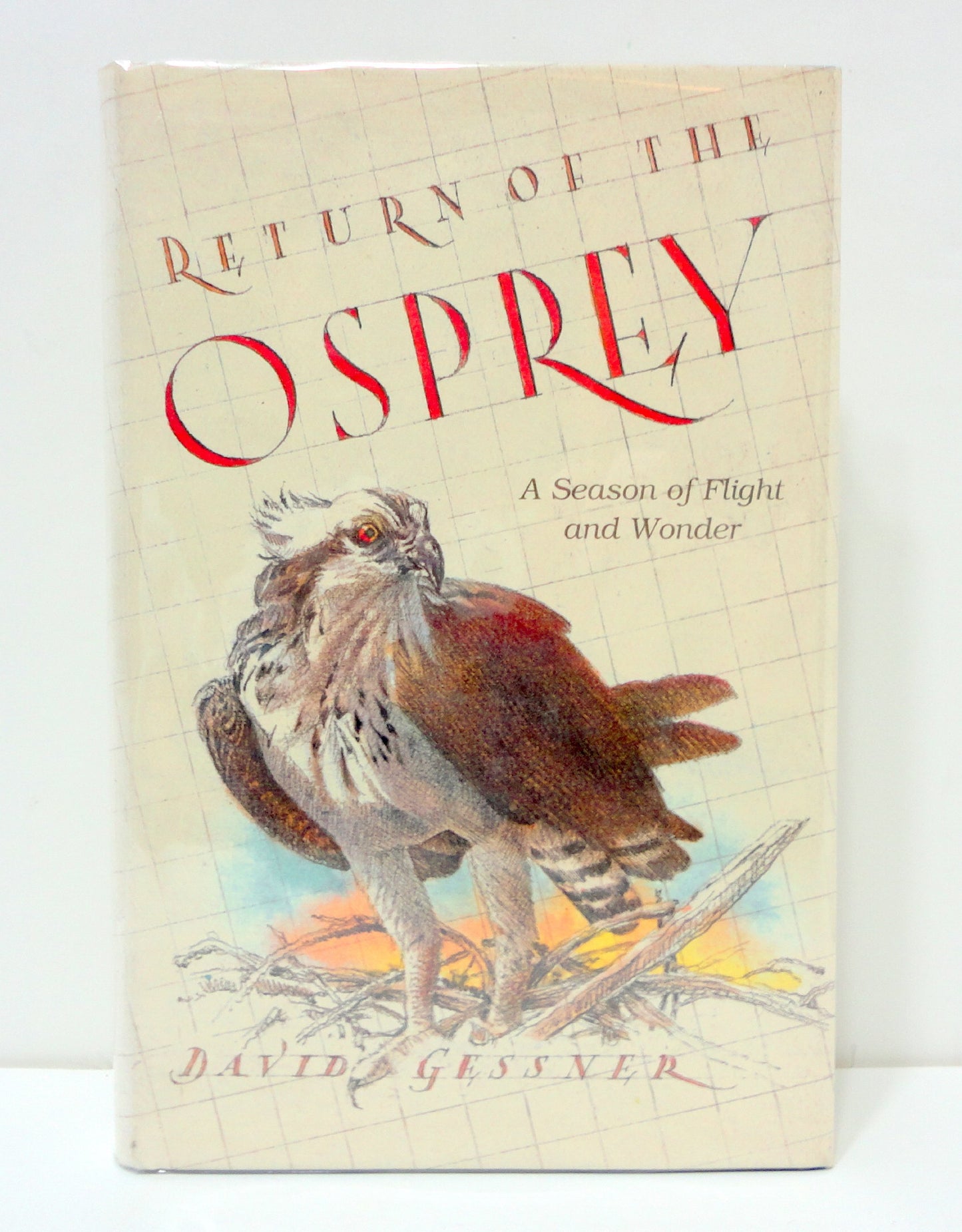 Return of the Osprey: A Season of Flight and Wonder