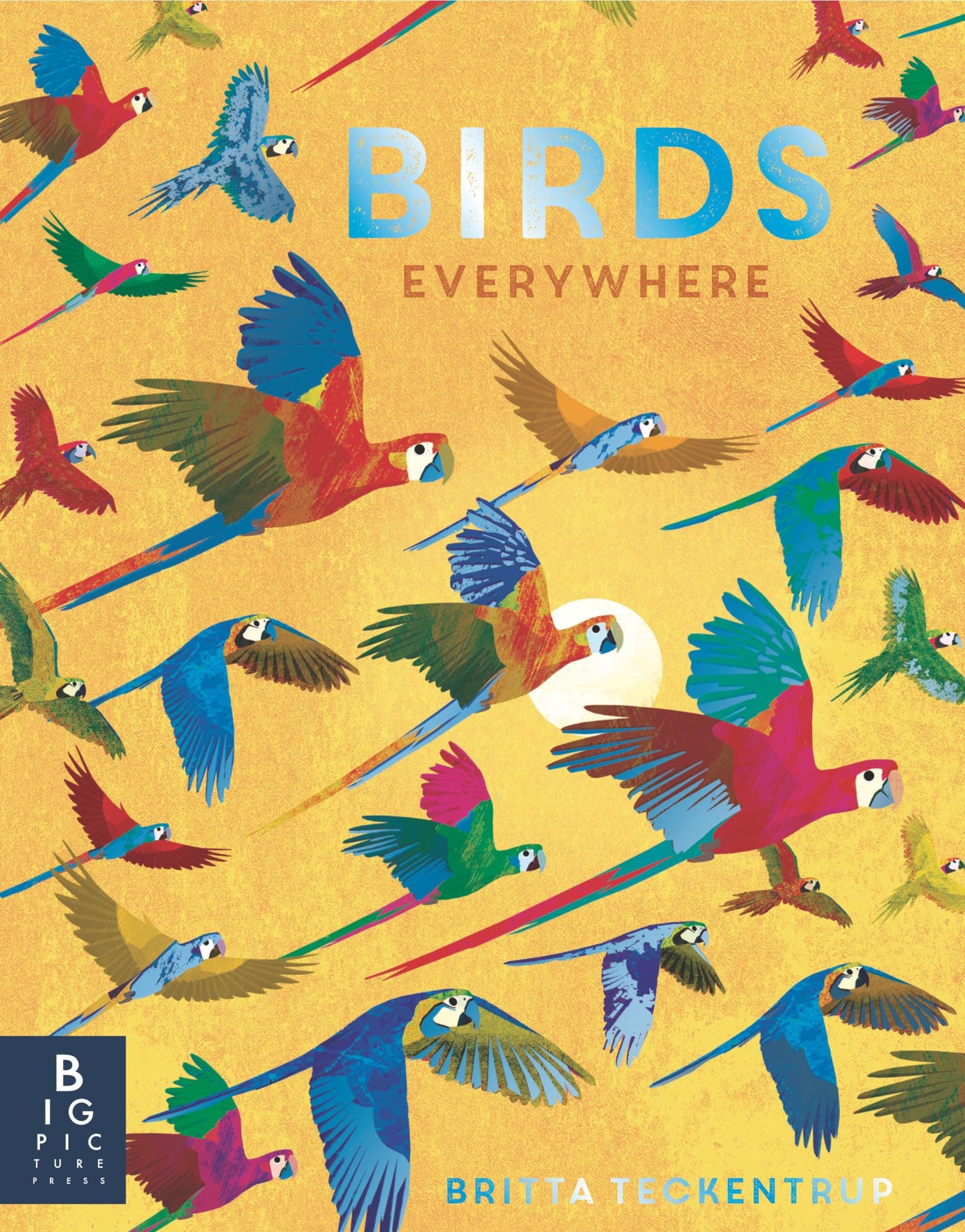 Birds Everywhere book cover