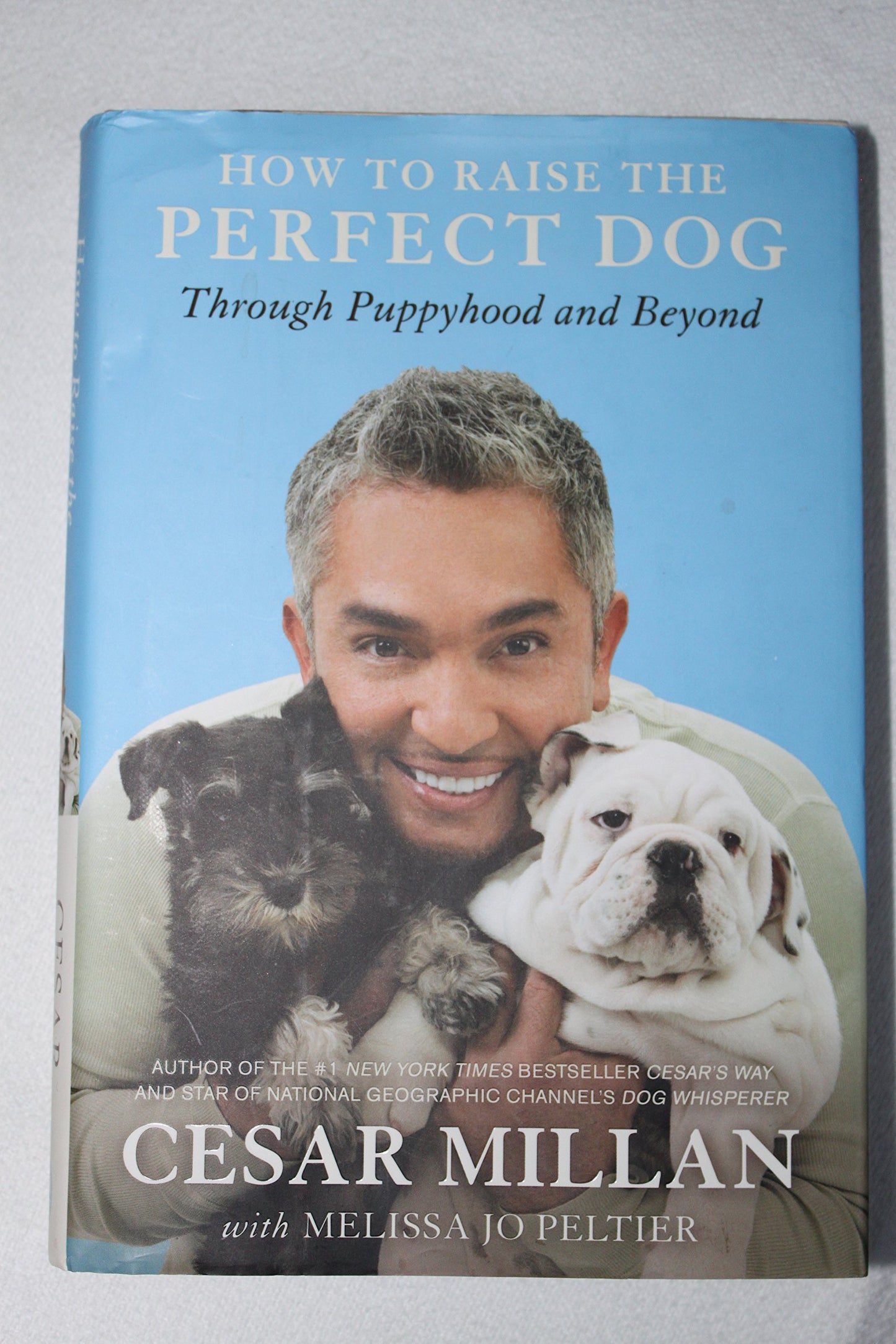 How to Raise the Perfect Dog: Through Puppyhood and Beyond book cover
