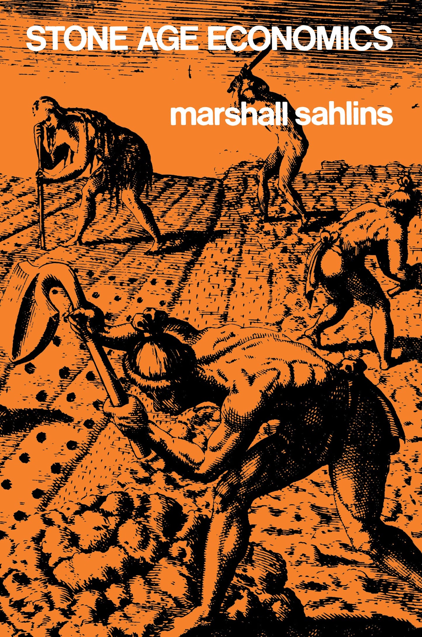 Stone Age Economics book cover