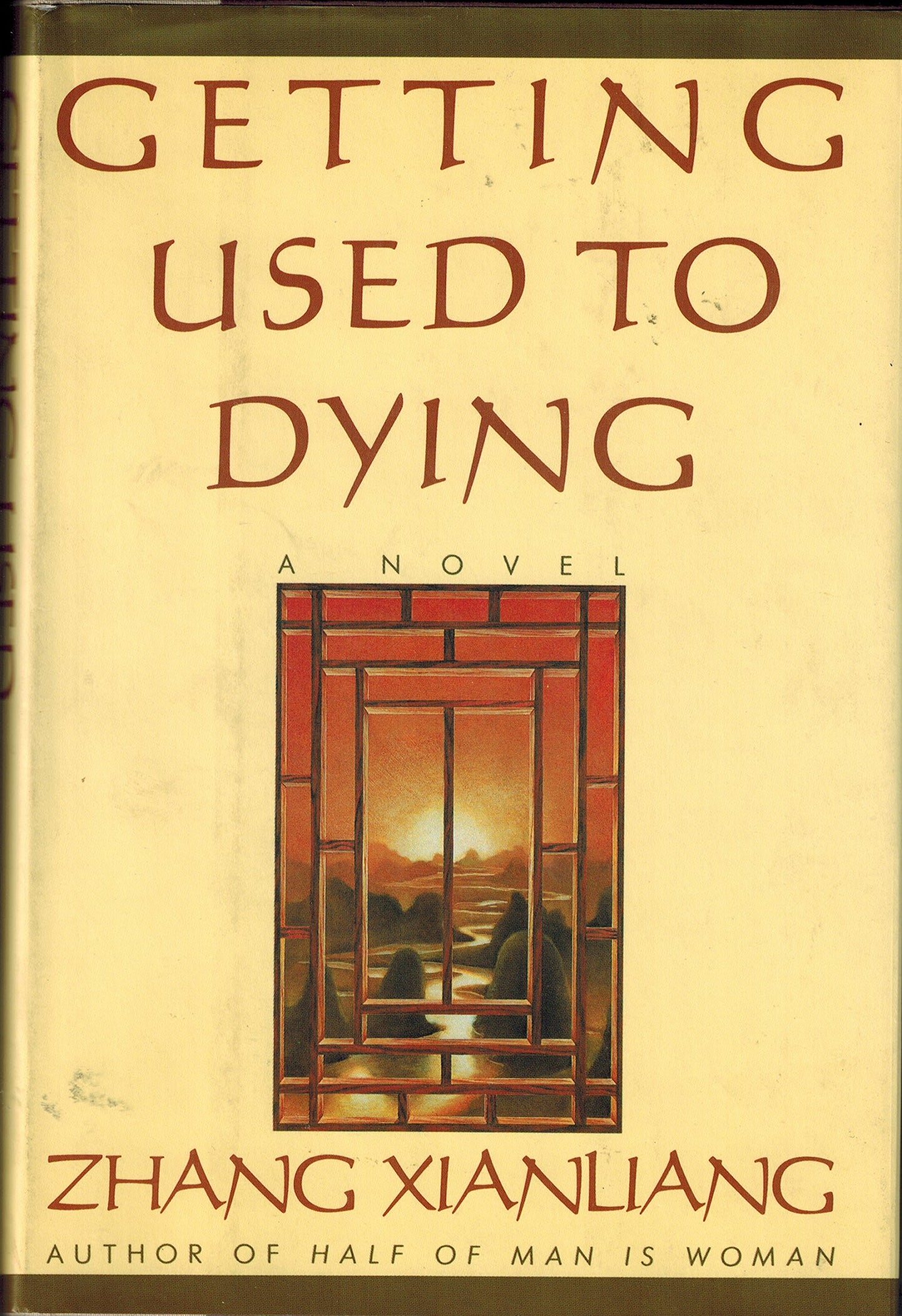 Getting Used to Dying book cover