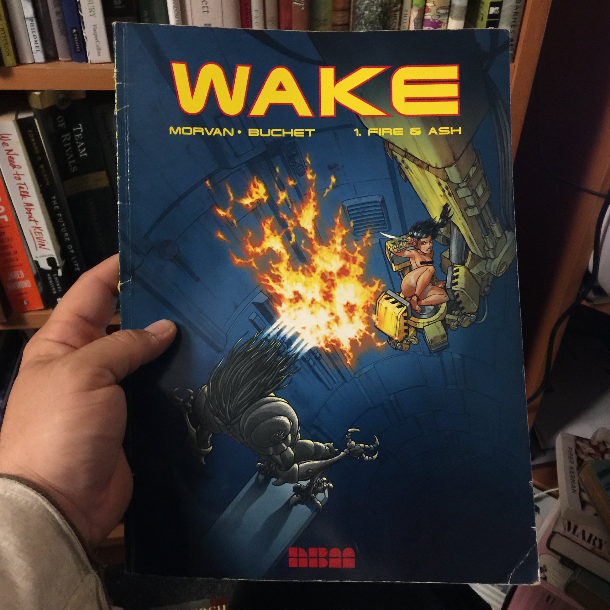 Wake, Vol. 1: Fire and Ash book cover