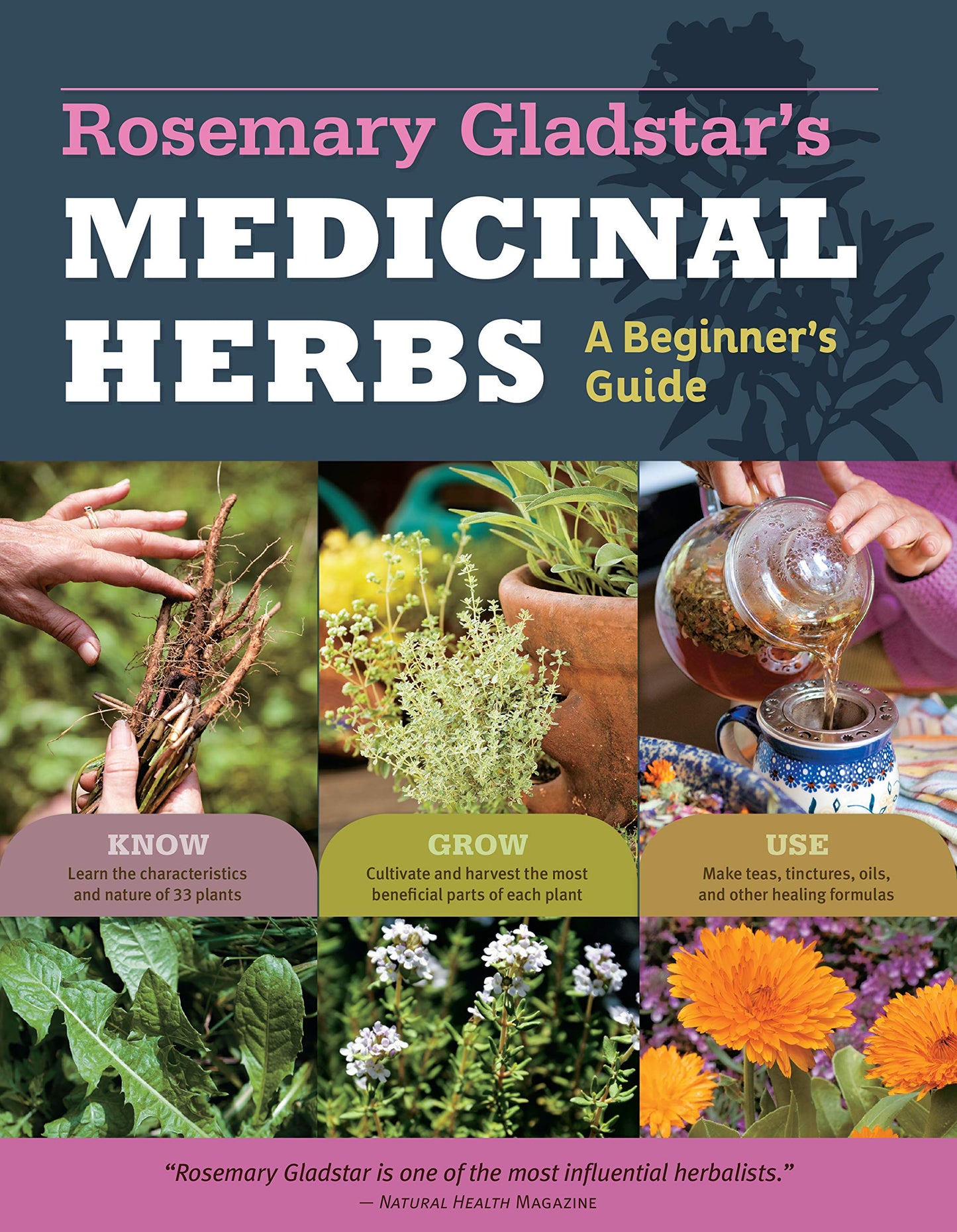 Rosemary Gladstar's Medicinal Herbs: A Beginner's Guide: 33 Healing Herbs to Know, Grow, and Use book cover
