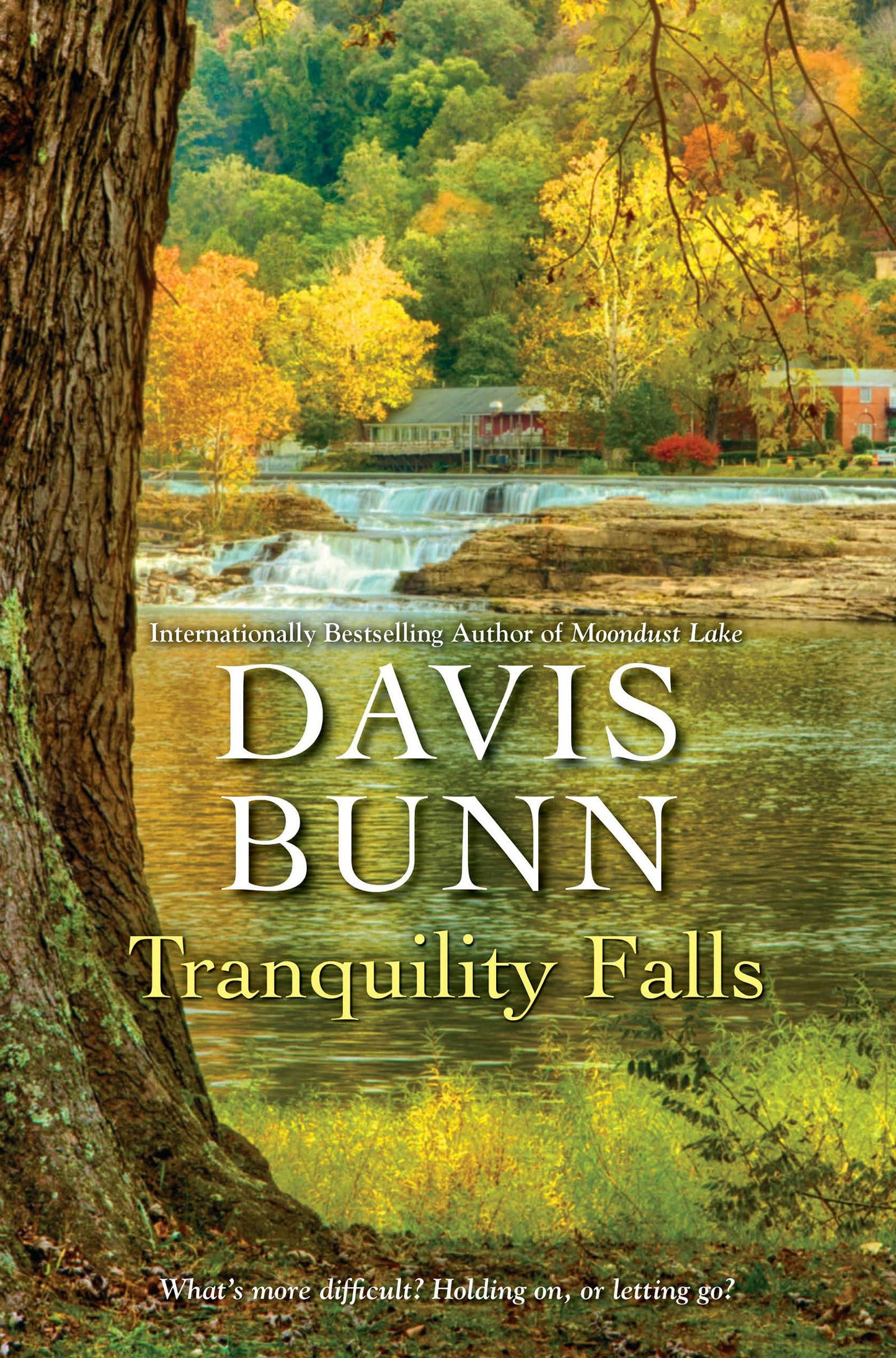 Tranquility Falls book cover