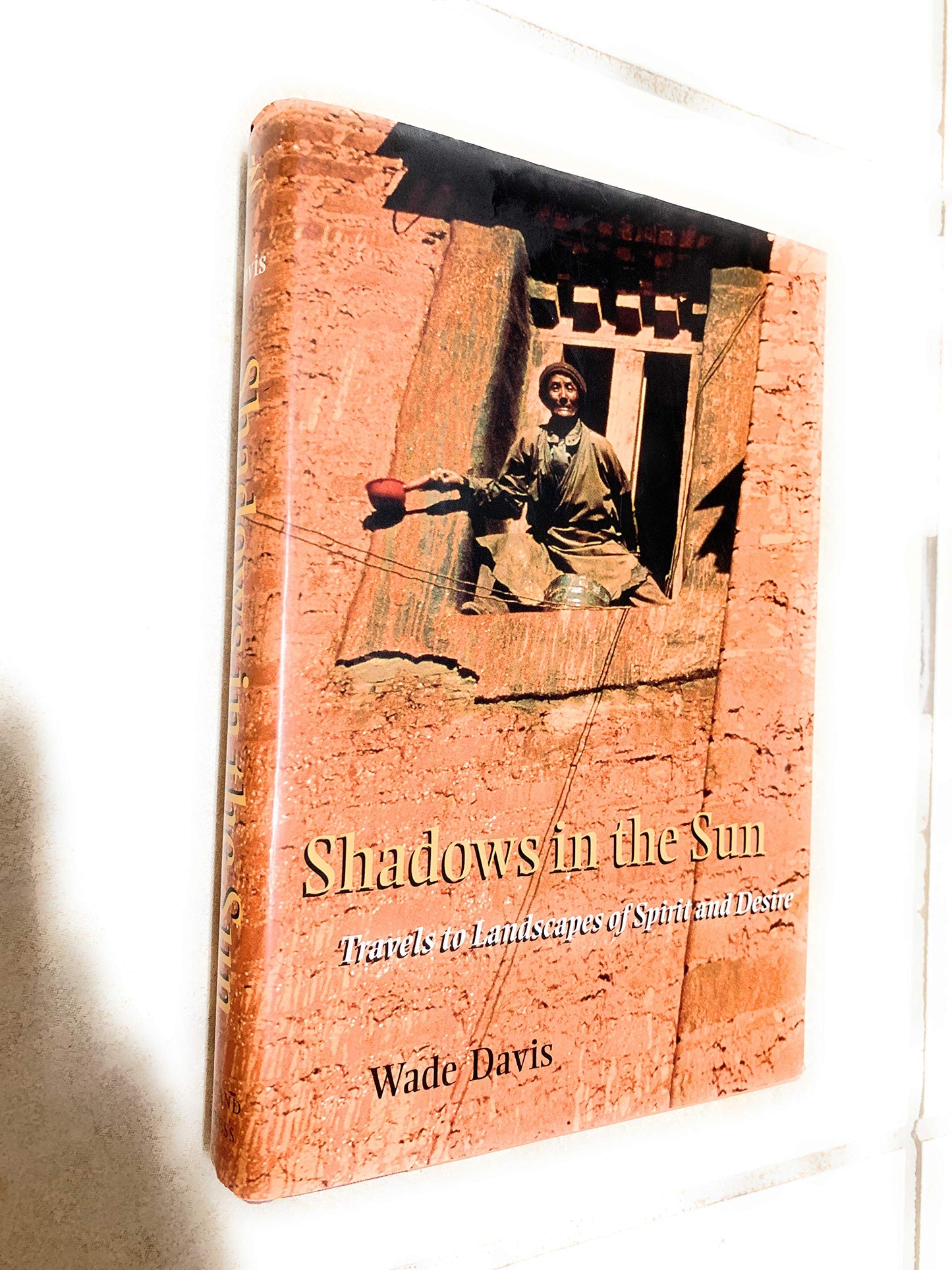 Shadows in the Sun: Travels to Landscapes of Spirit and Desire book cover