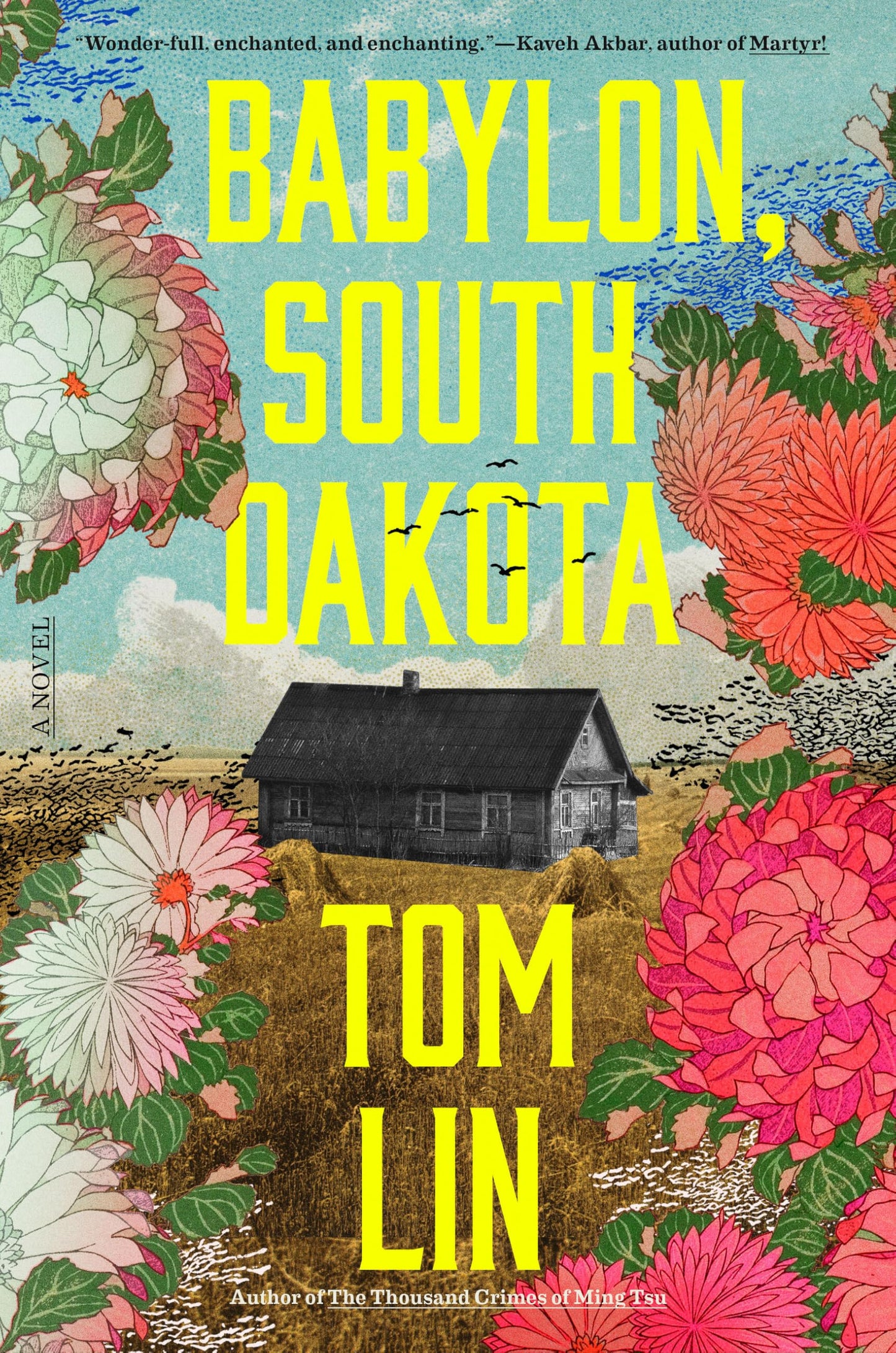 Babylon, South Dakota book cover