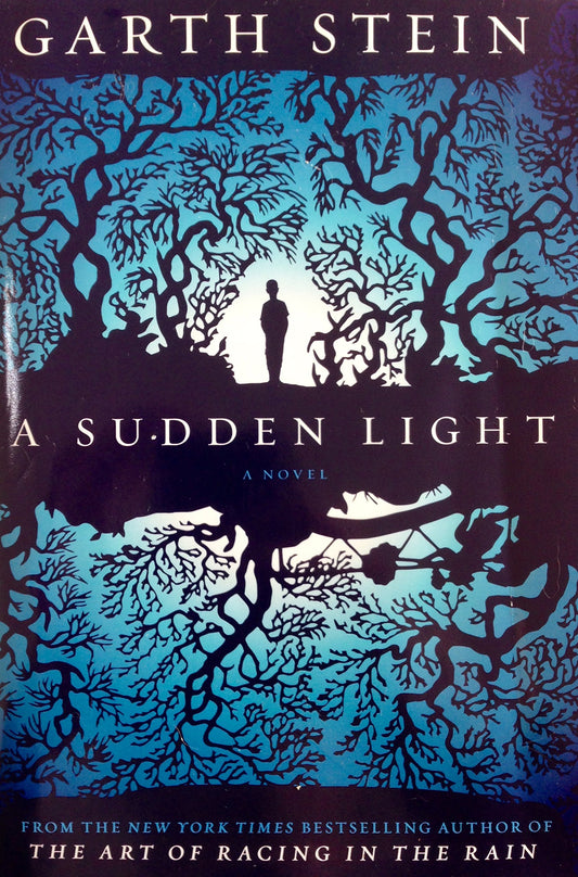 A Sudden Light[SUDDEN LIGHT][Hardcover]