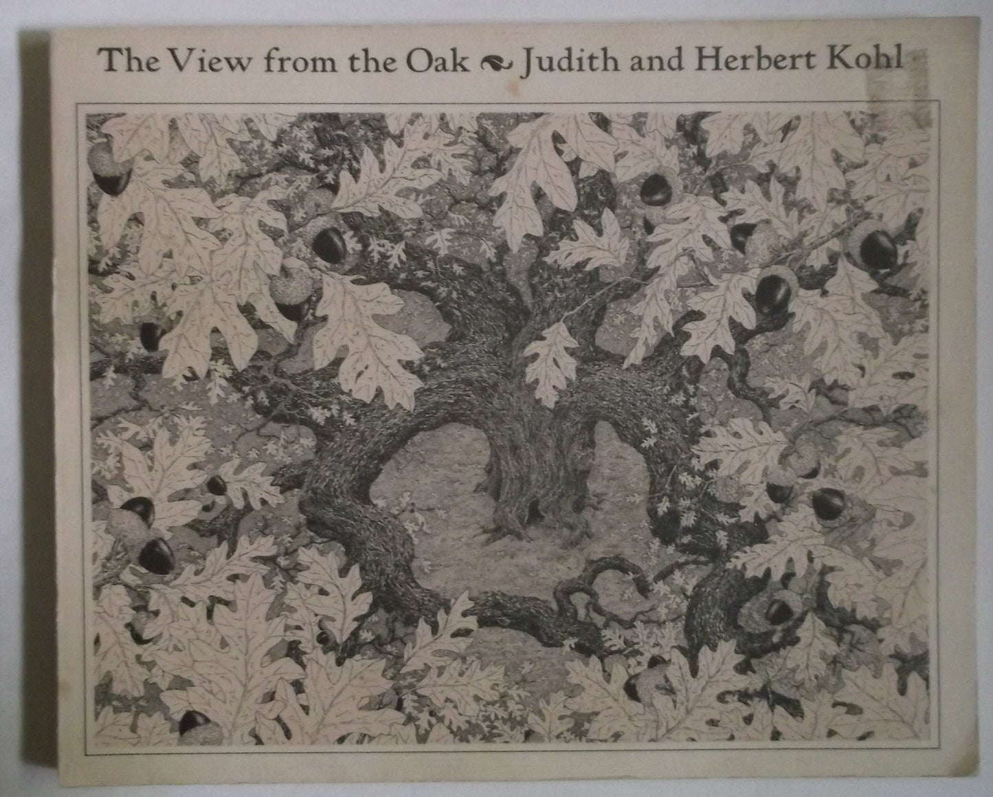 View from the Oak: The Private Worlds of Other Creatures