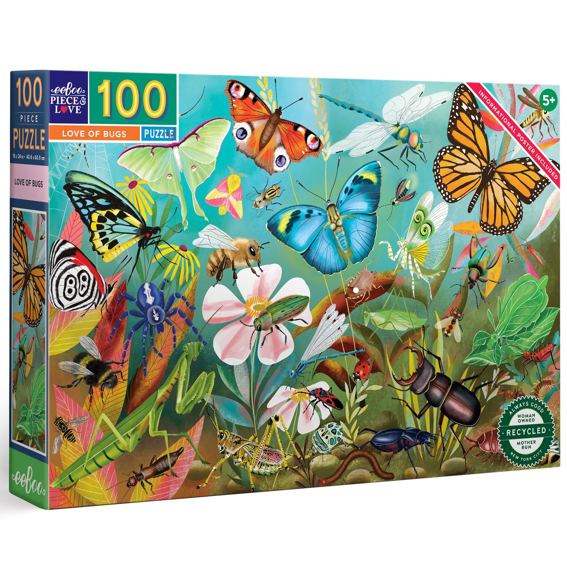 Love of Bugs 100 Piece Puzzle book cover