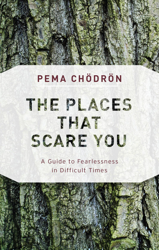 Places That Scare You: A Guide to Fearlessness in Difficult Times book cover