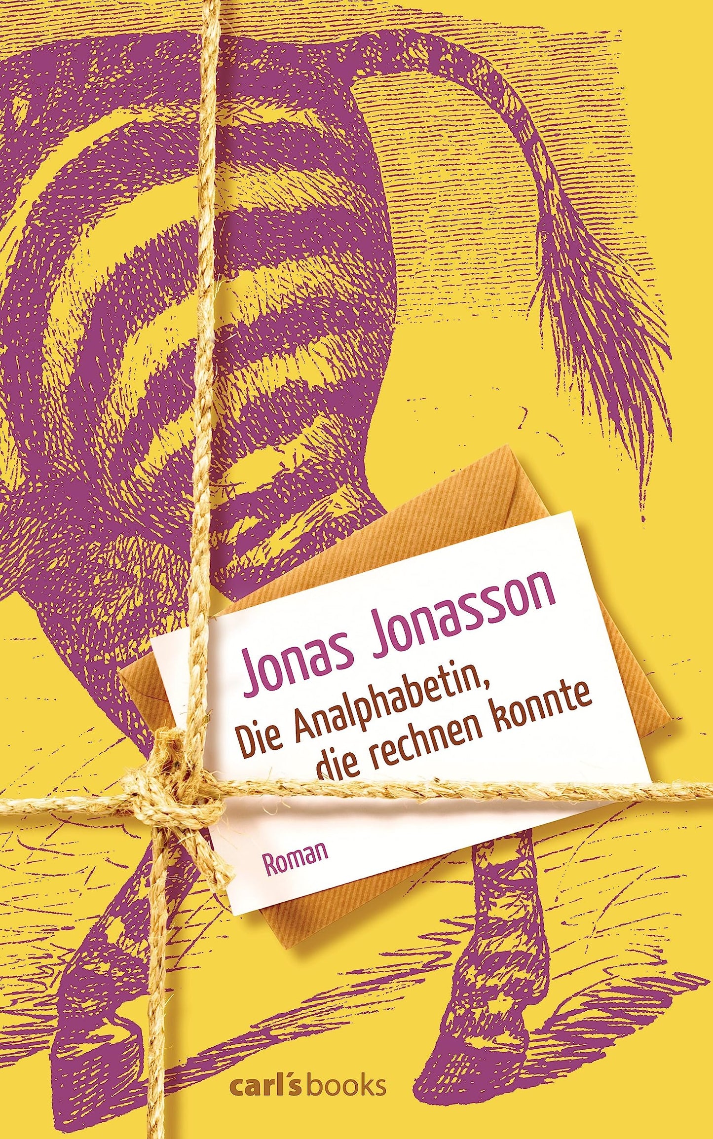 Die Analphabetin, die rechnen konnte: Roman book cover