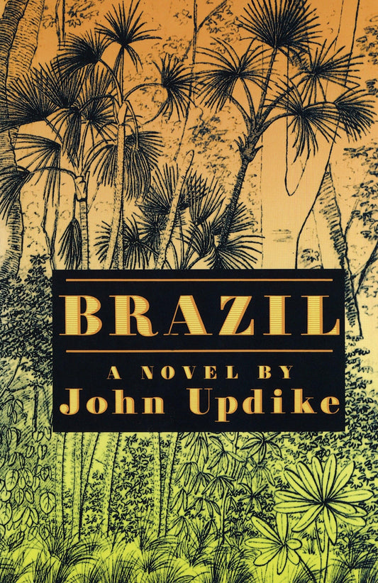 Brazil book cover