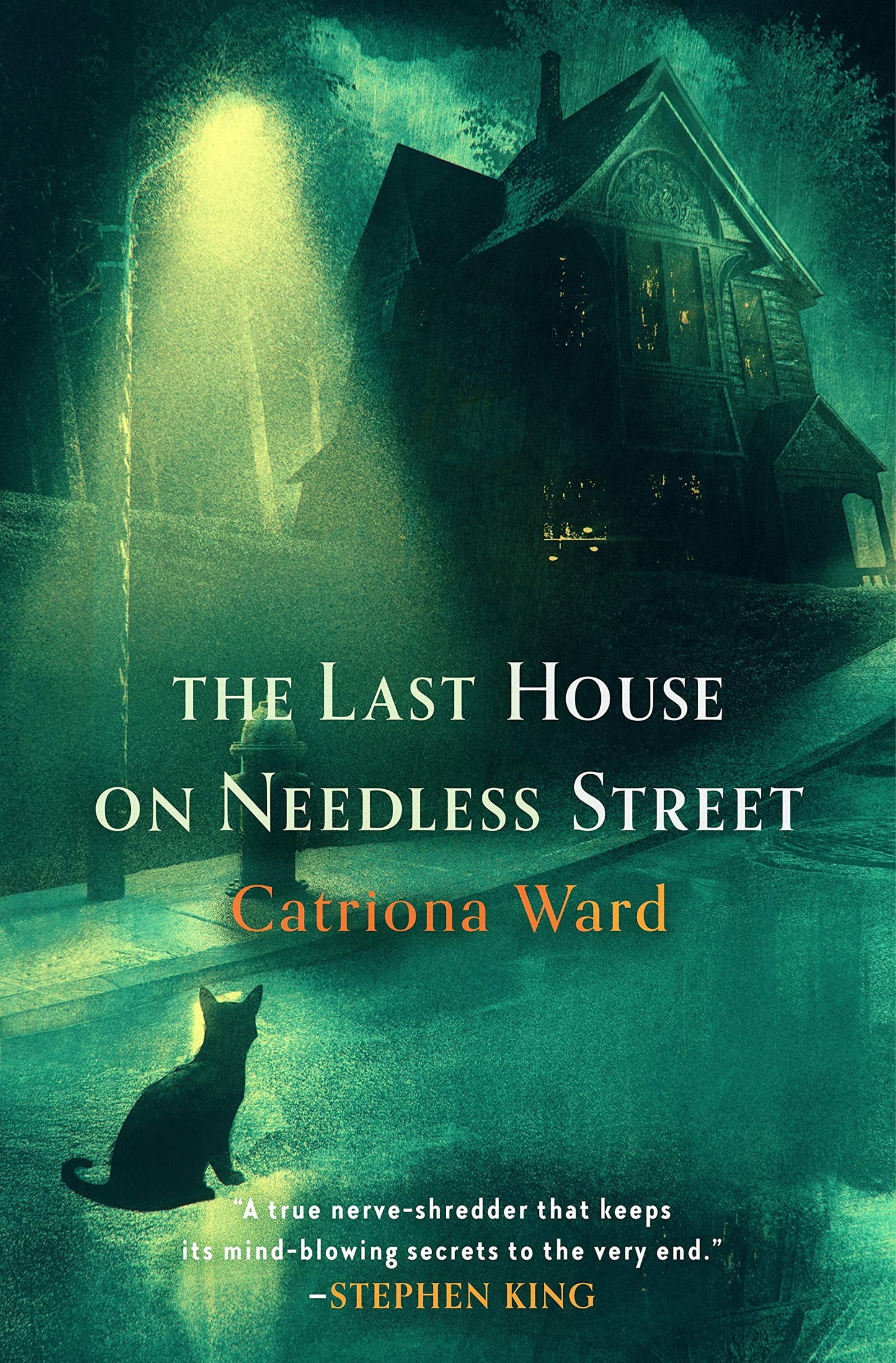 Last House on Needless Street book cover