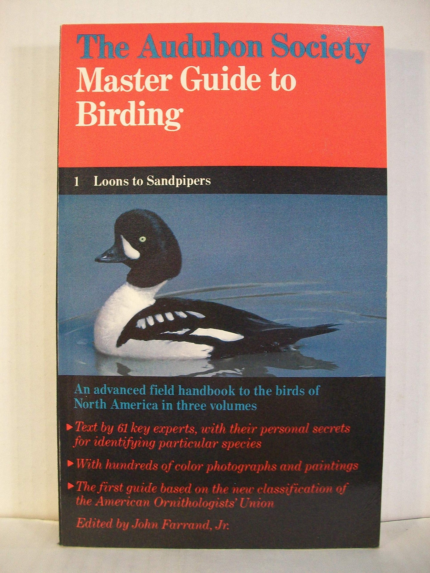 Master Birding: Loons-Sandpipers V 1 (Chanticleer Press) book cover