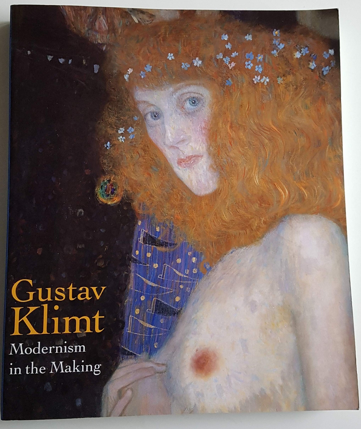 Gustav Klimt, Modernism in the Making book cover