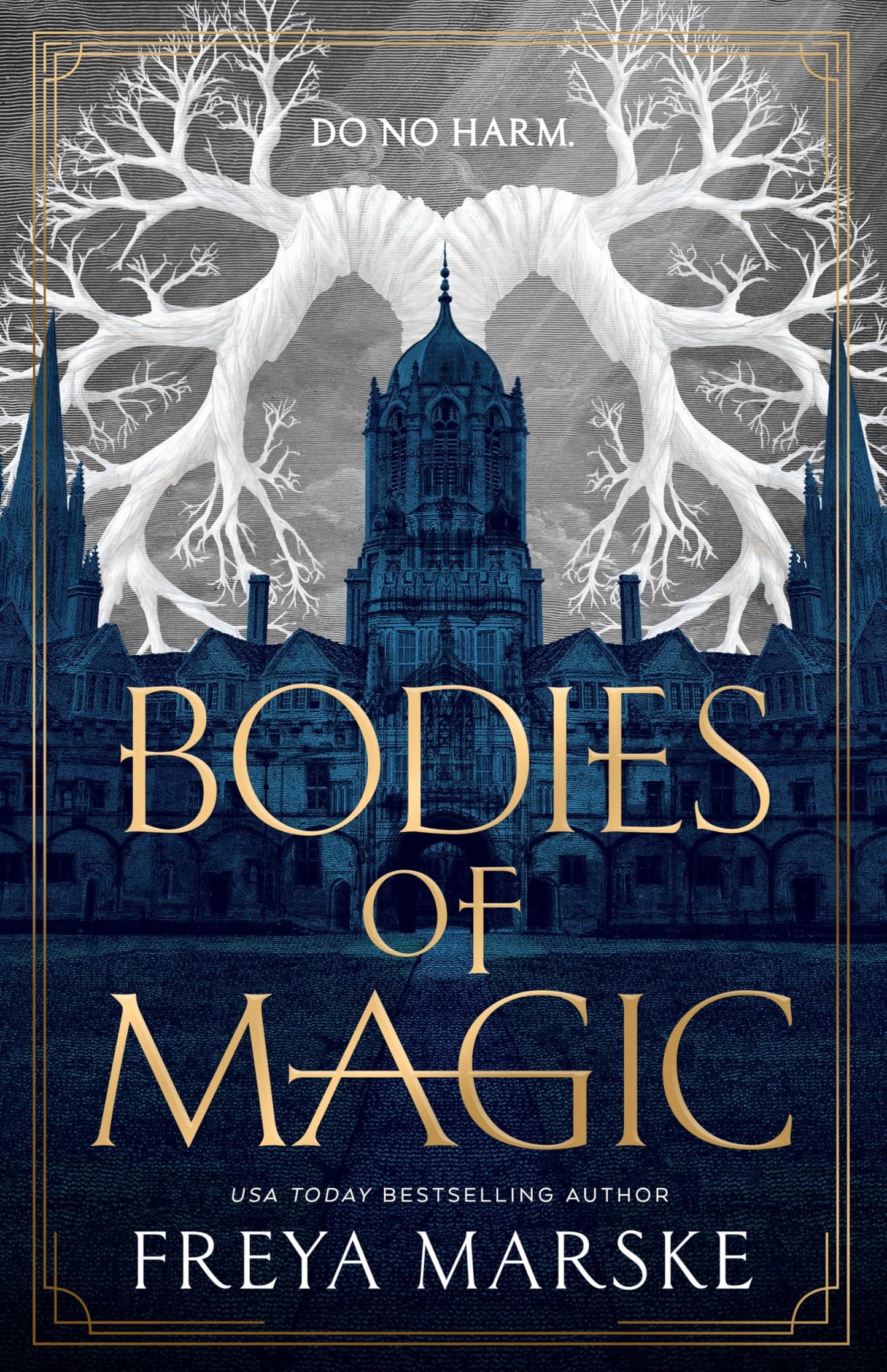Bodies of Magic book cover