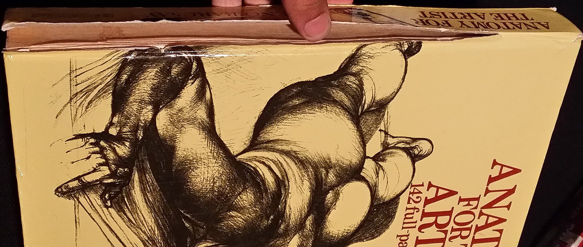 Anatomy for the Artist book cover