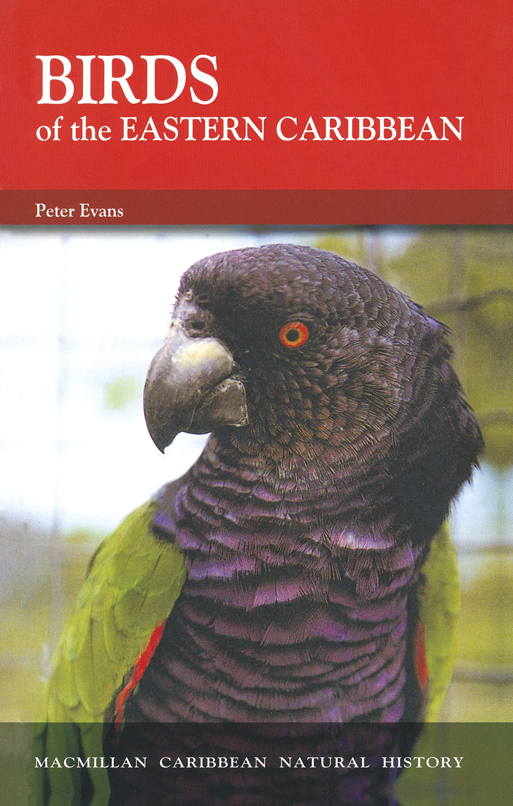 Birds of the Eastern Caribbean book cover