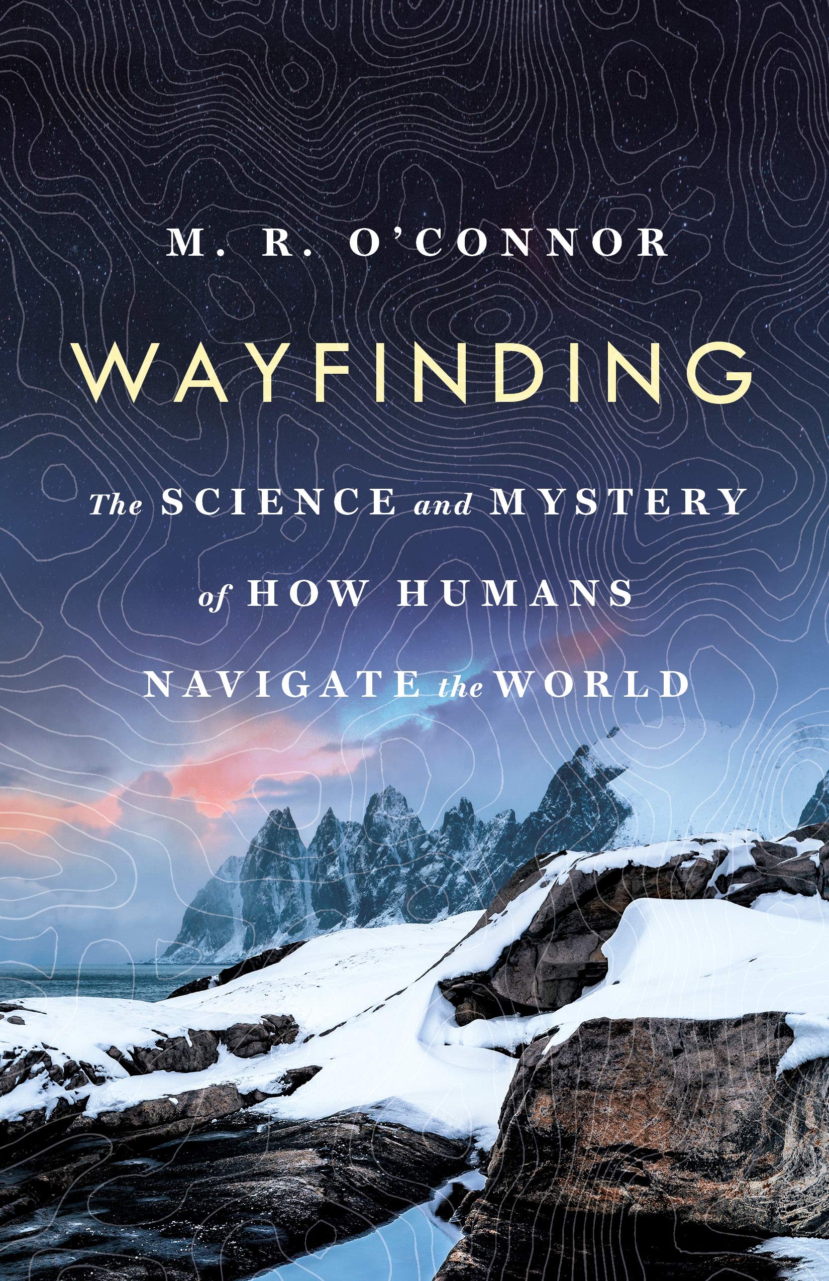 Wayfinding: The Science and Mystery of How Humans Navigate the World book cover