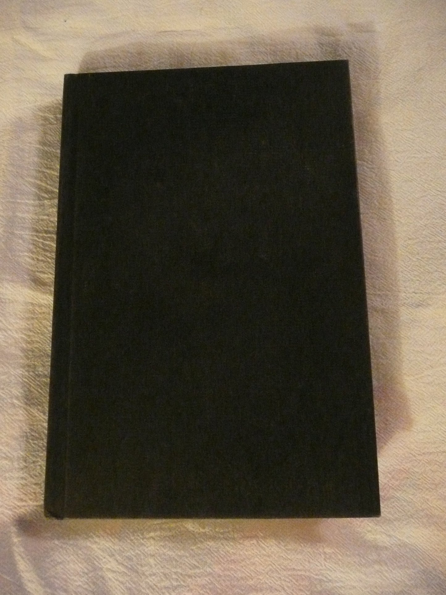 Under Hitler's Banner (Revised)