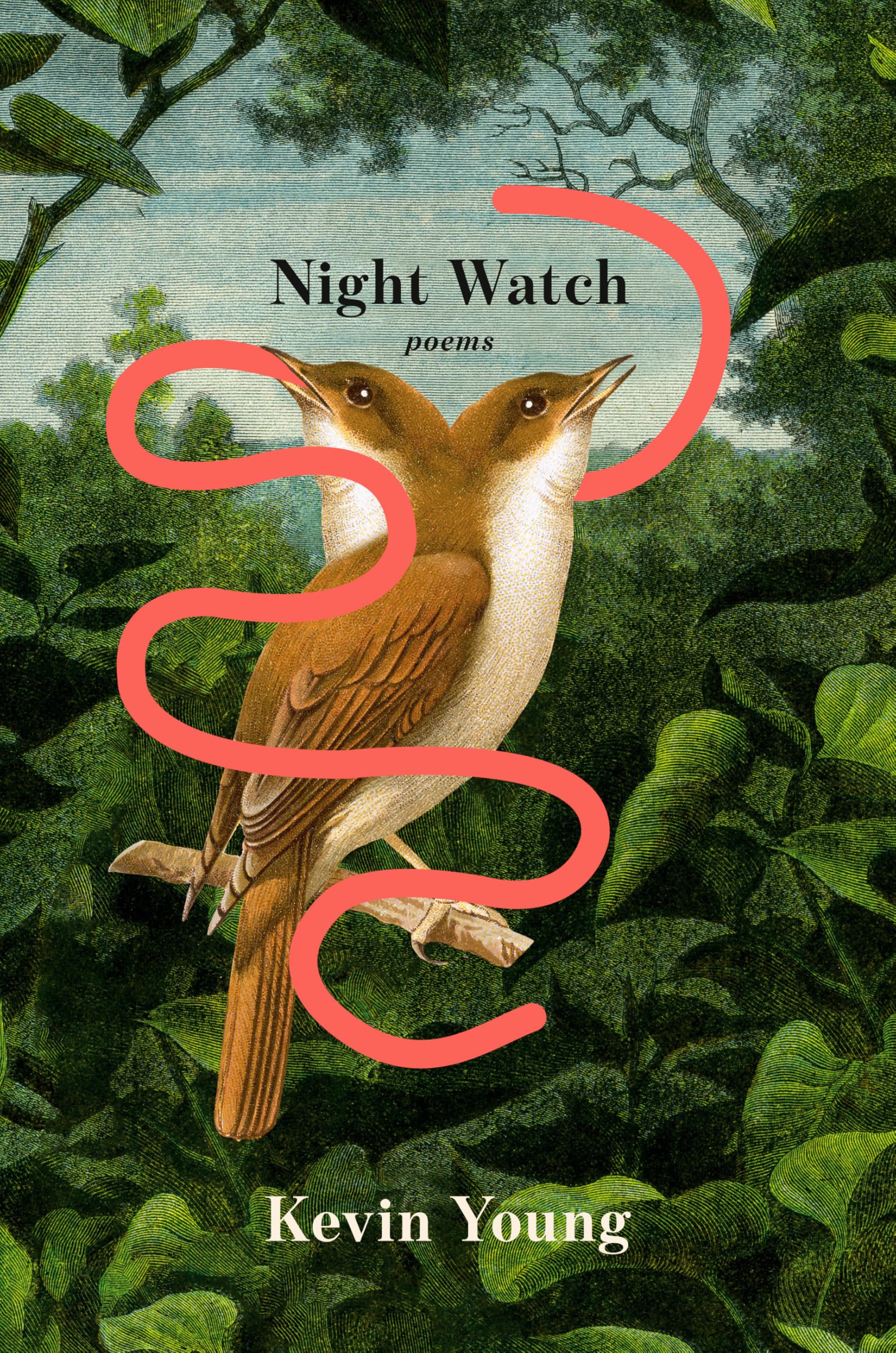 Night Watch book cover