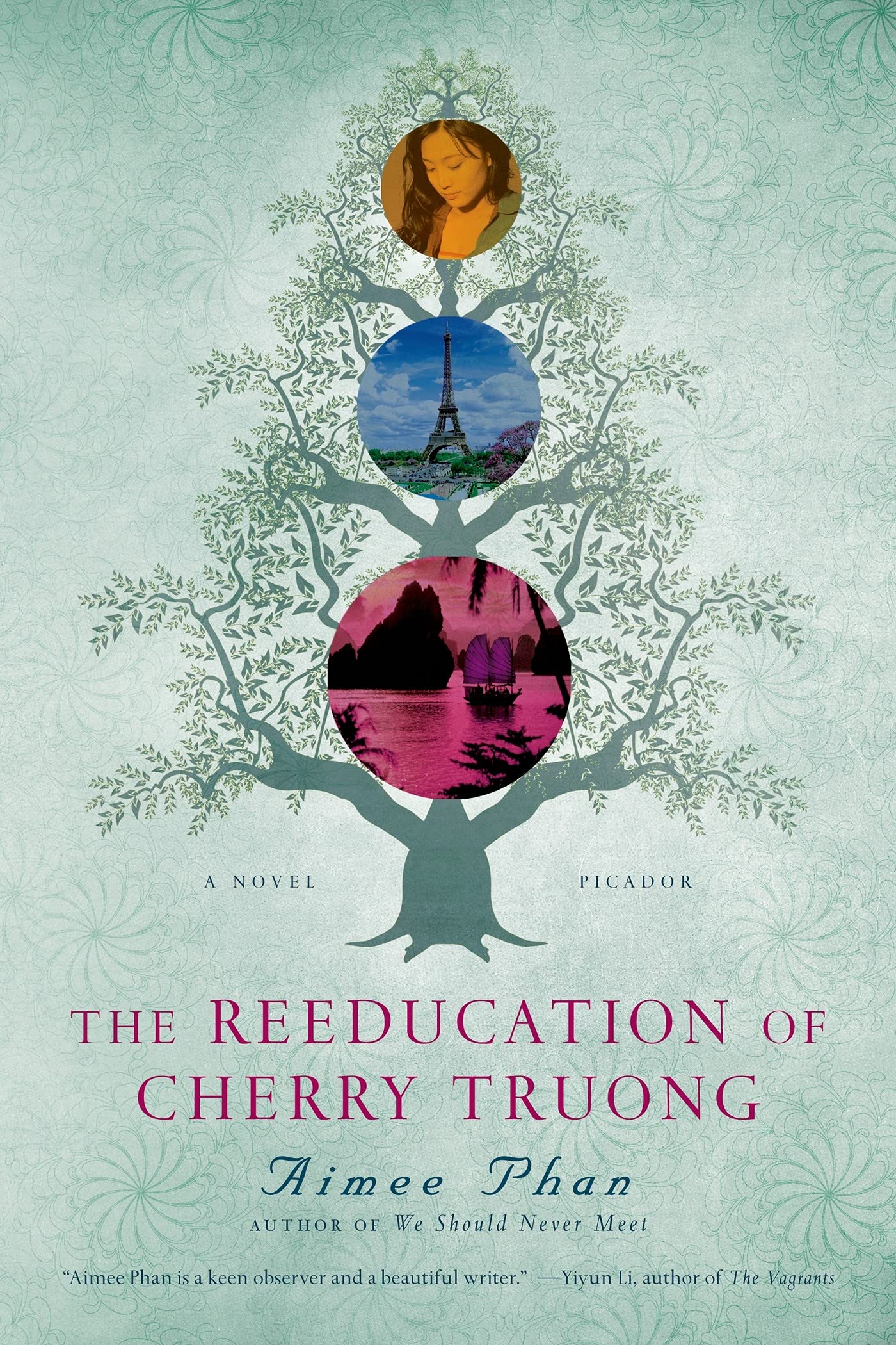 Reeducation of Cherry Truong book cover