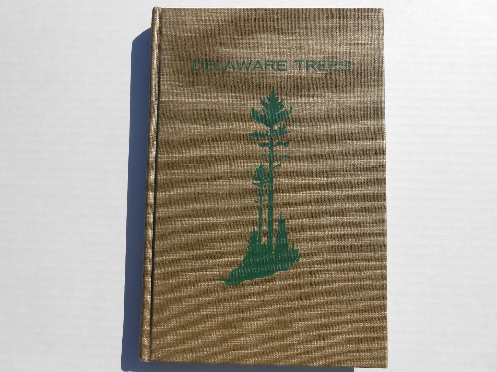 Delaware Trees: A Guide to the Identification of the Native Tree Species book cover