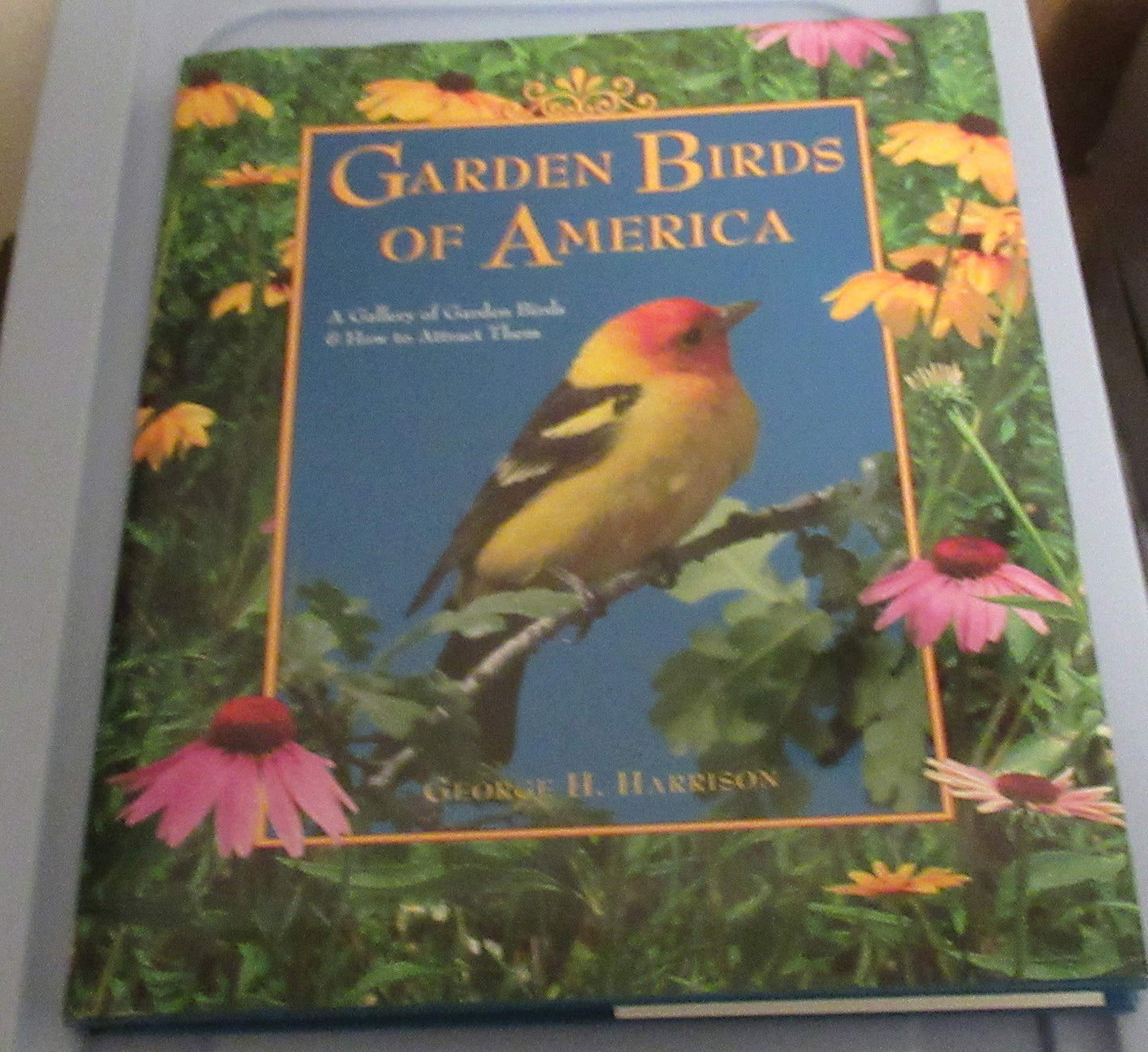 Garden Birds of America