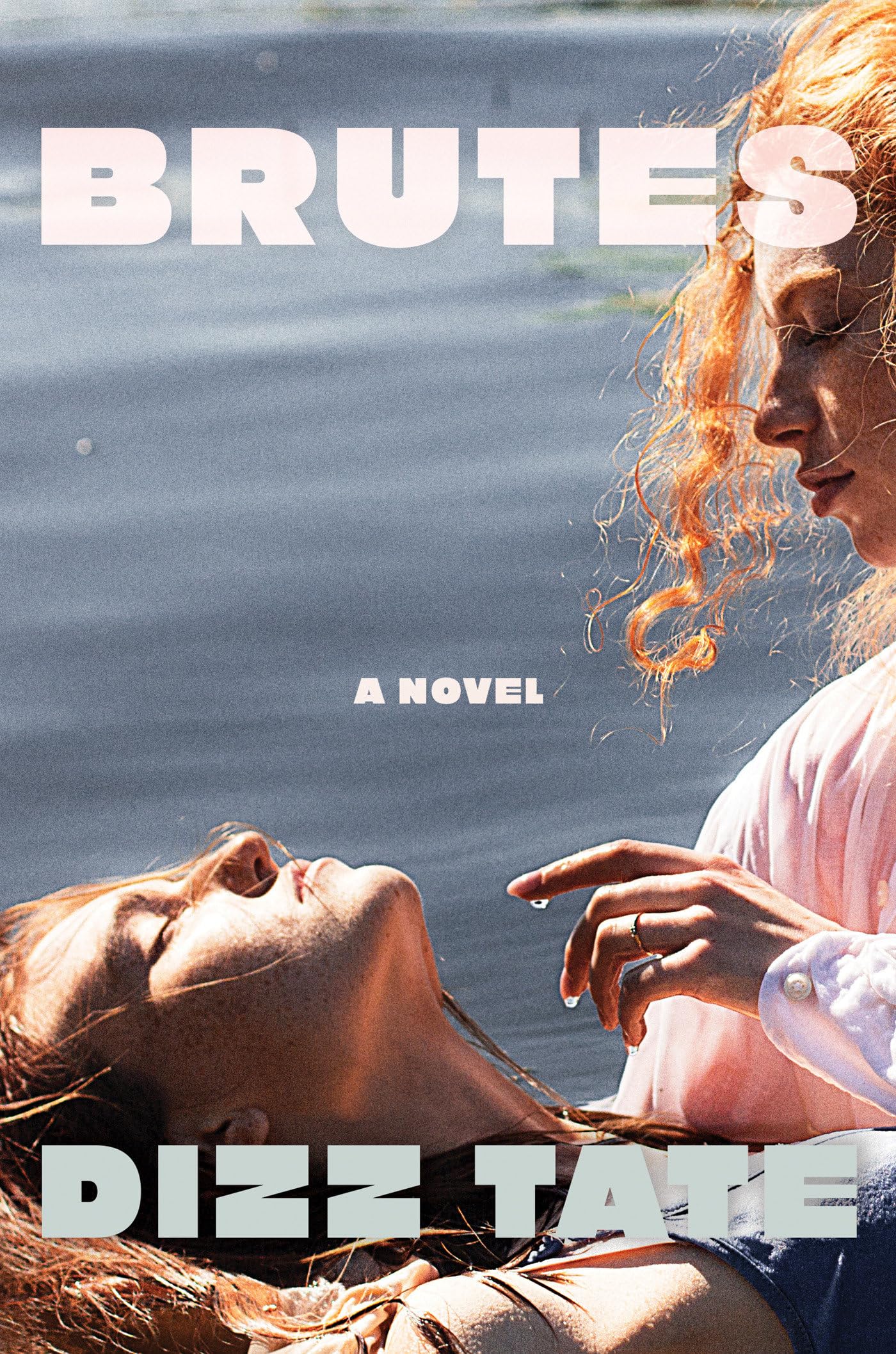 Brutes book cover