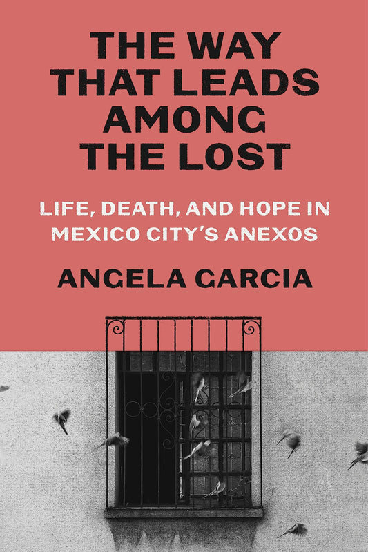 Way That Leads Among the Lost: Life, Death, and Hope in Mexico City's Anexos