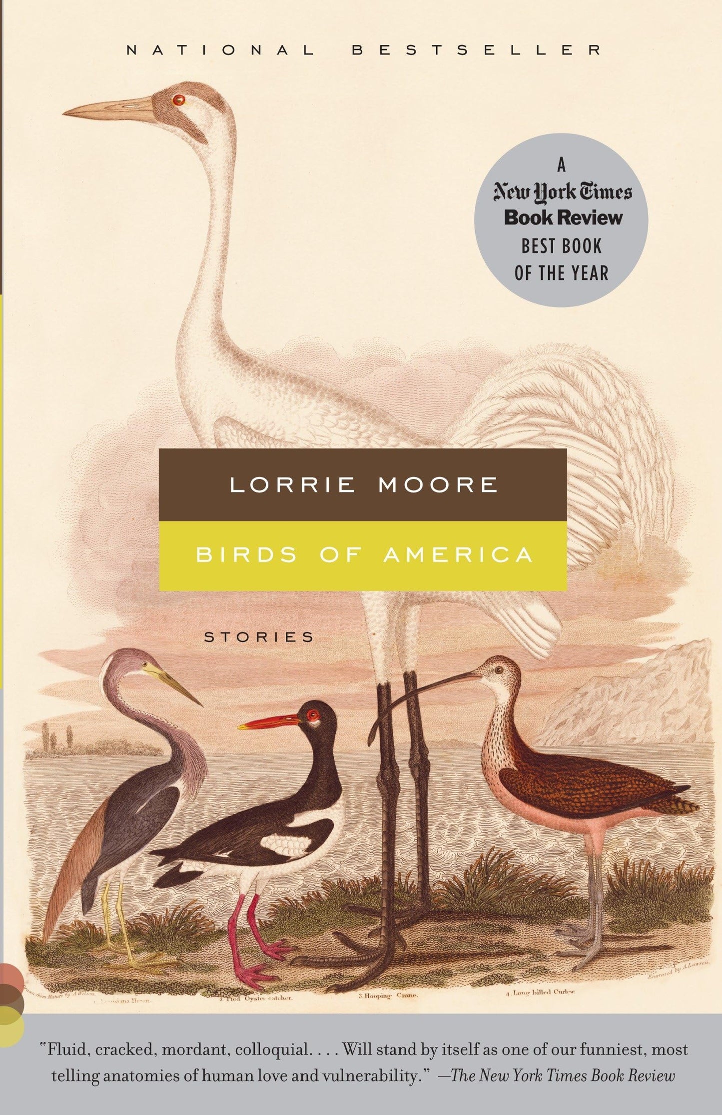 Birds of America: Stories book cover