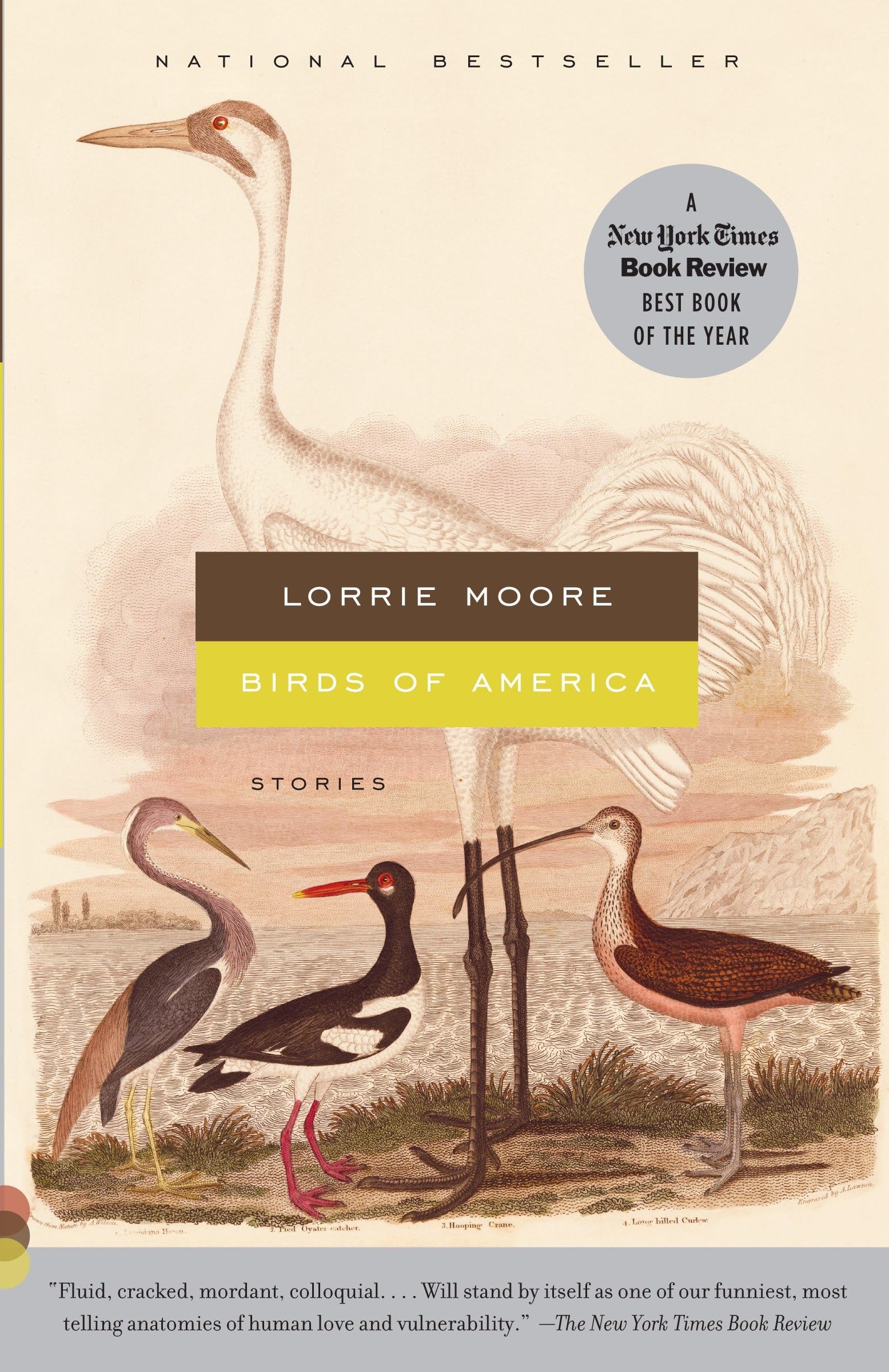 Birds of America: Stories book cover