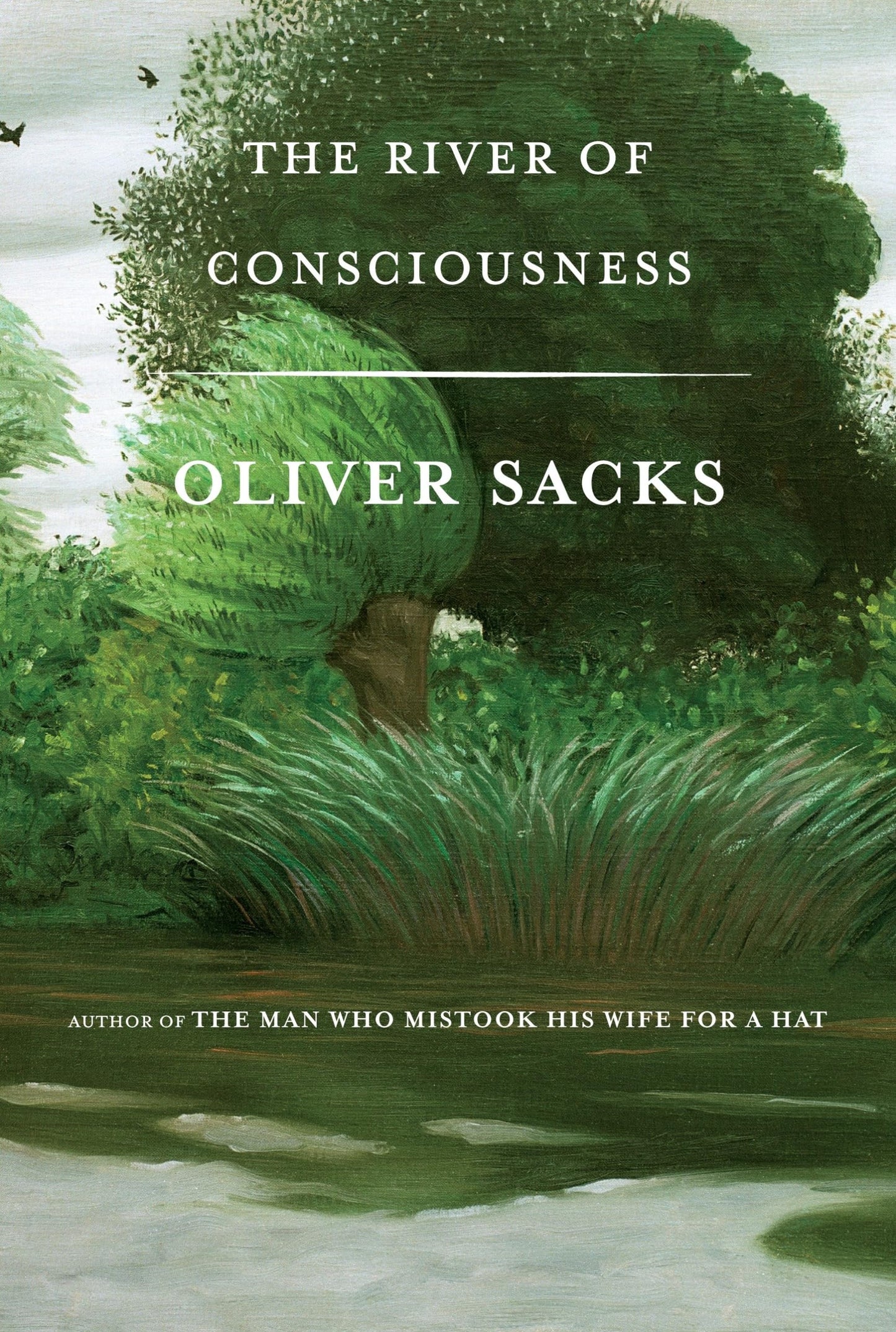 River of Consciousness book cover