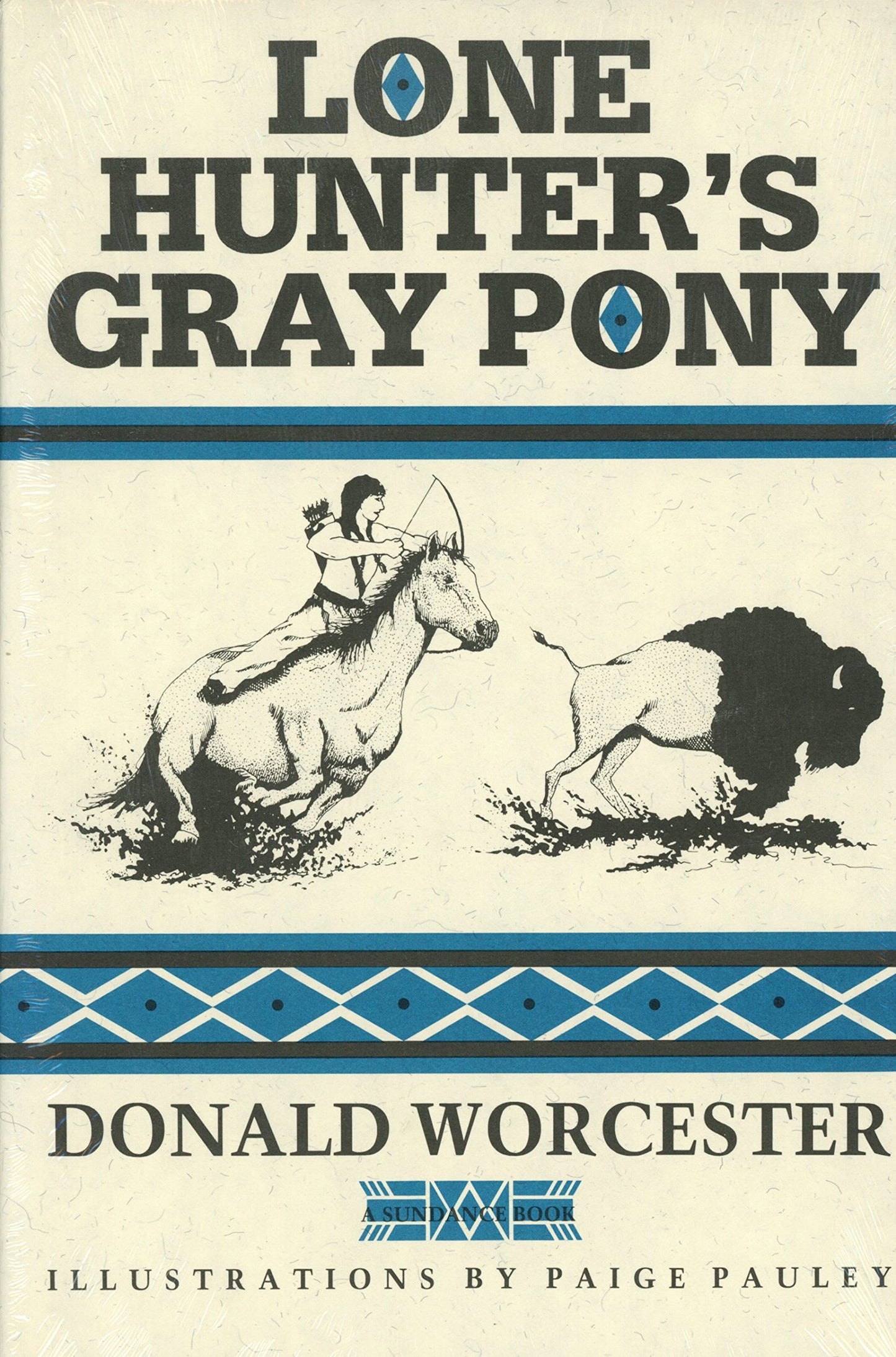 Lone Hunter's Gray Pony book cover