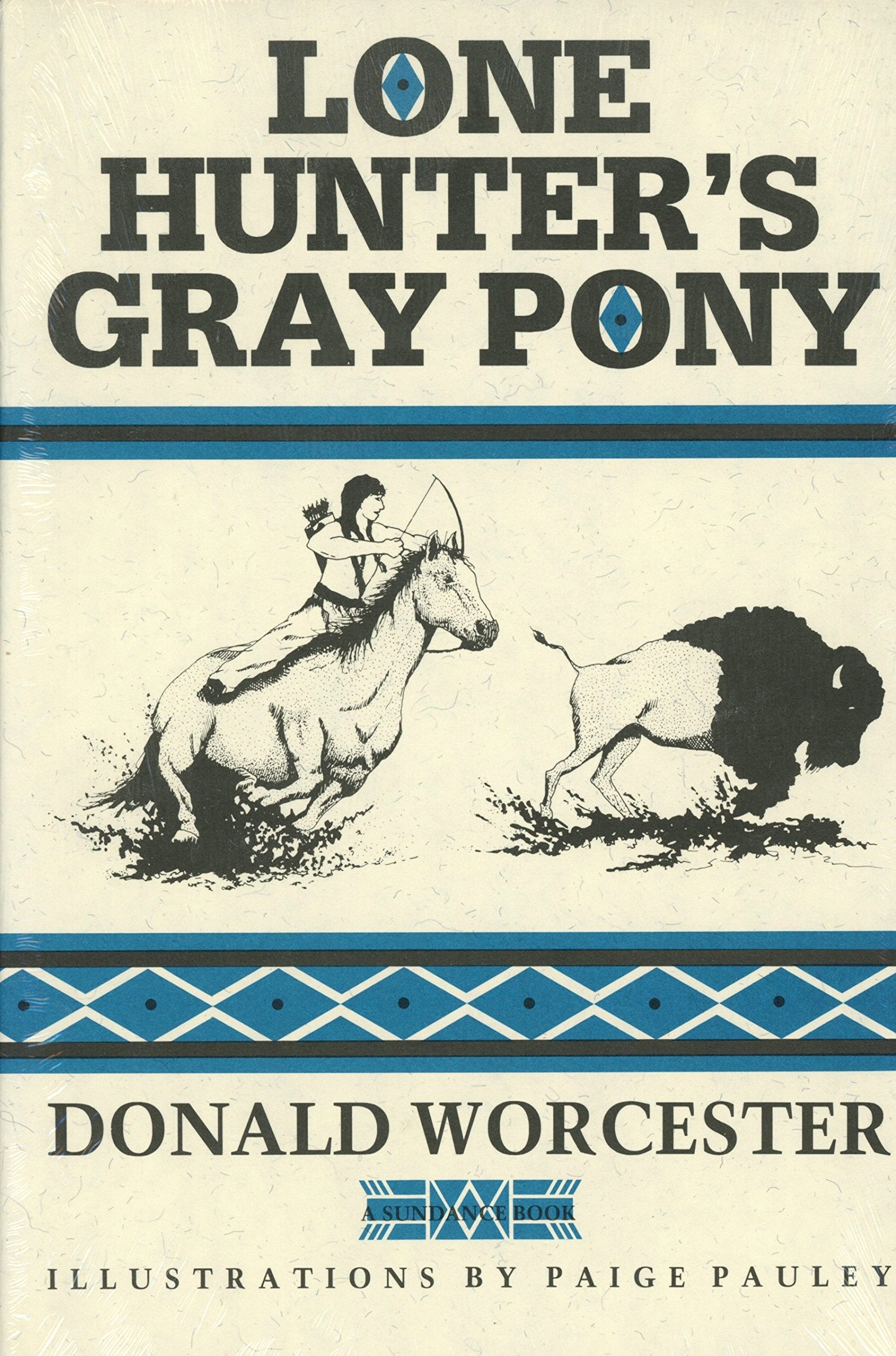 Lone Hunter's Gray Pony book cover
