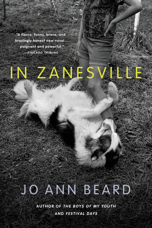In Zanesville book cover