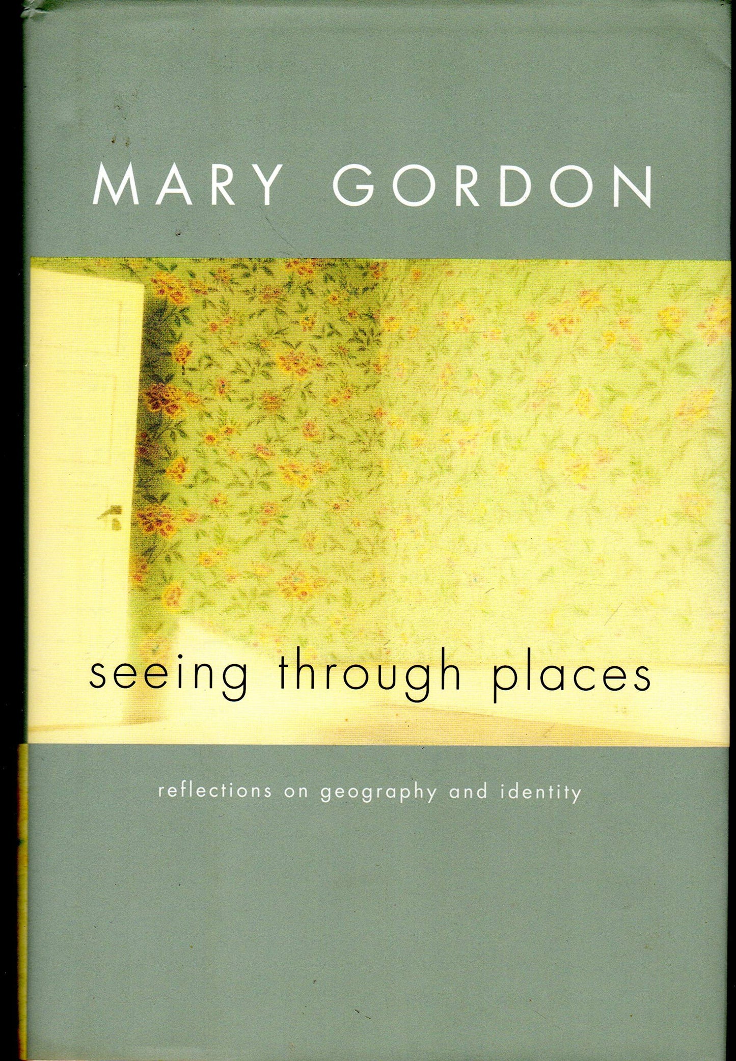 Seeing Through Places: Reflections on Geography and Identity book cover