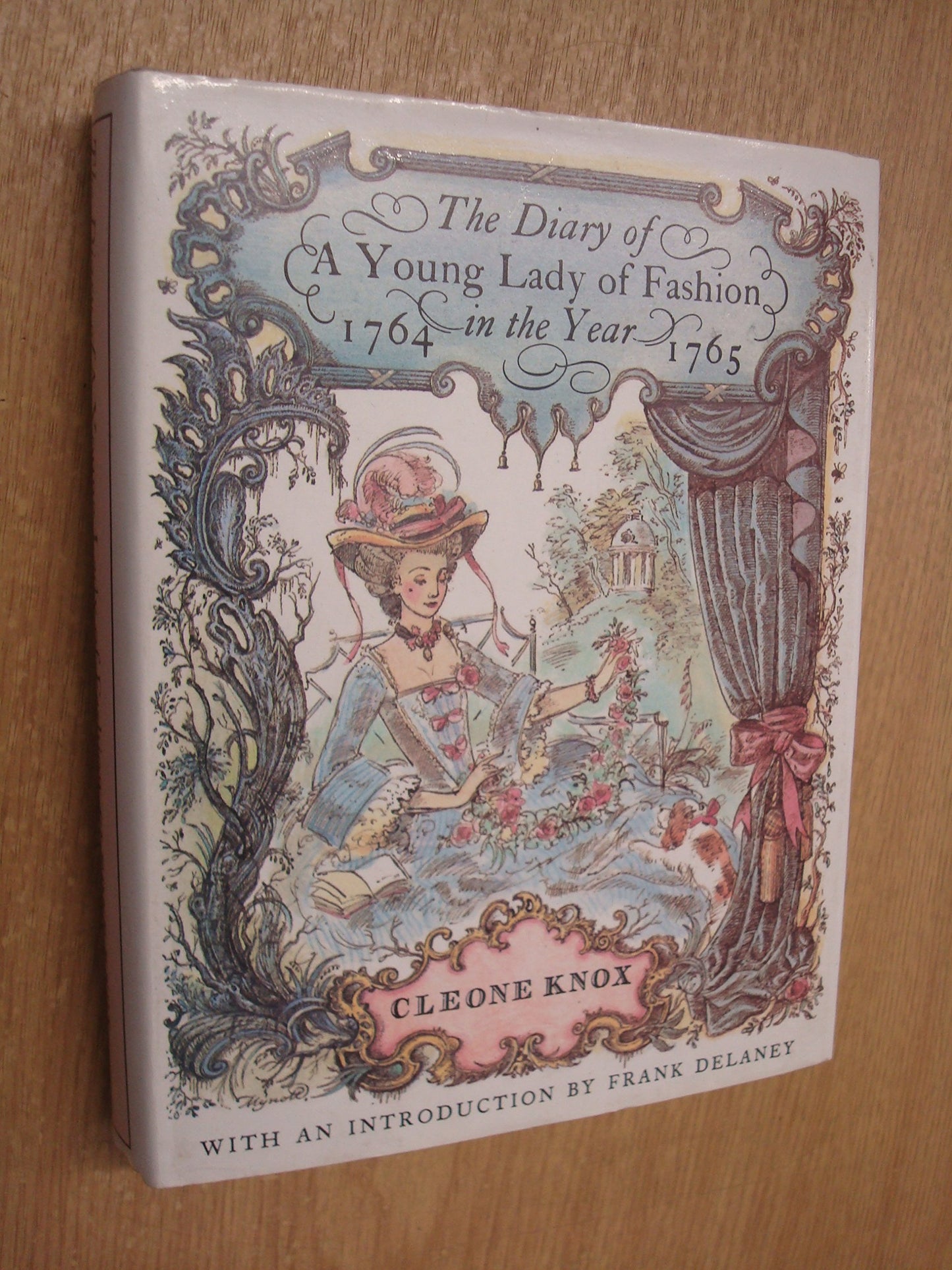 DIARY YNG LADY FASHN book cover