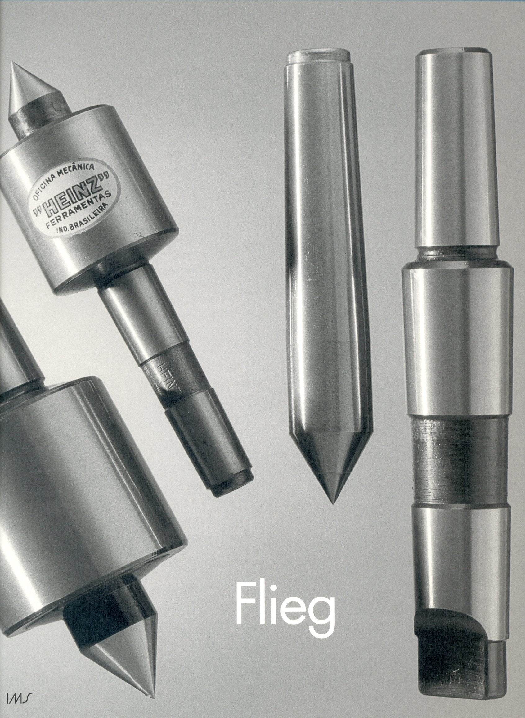 Flieg book cover