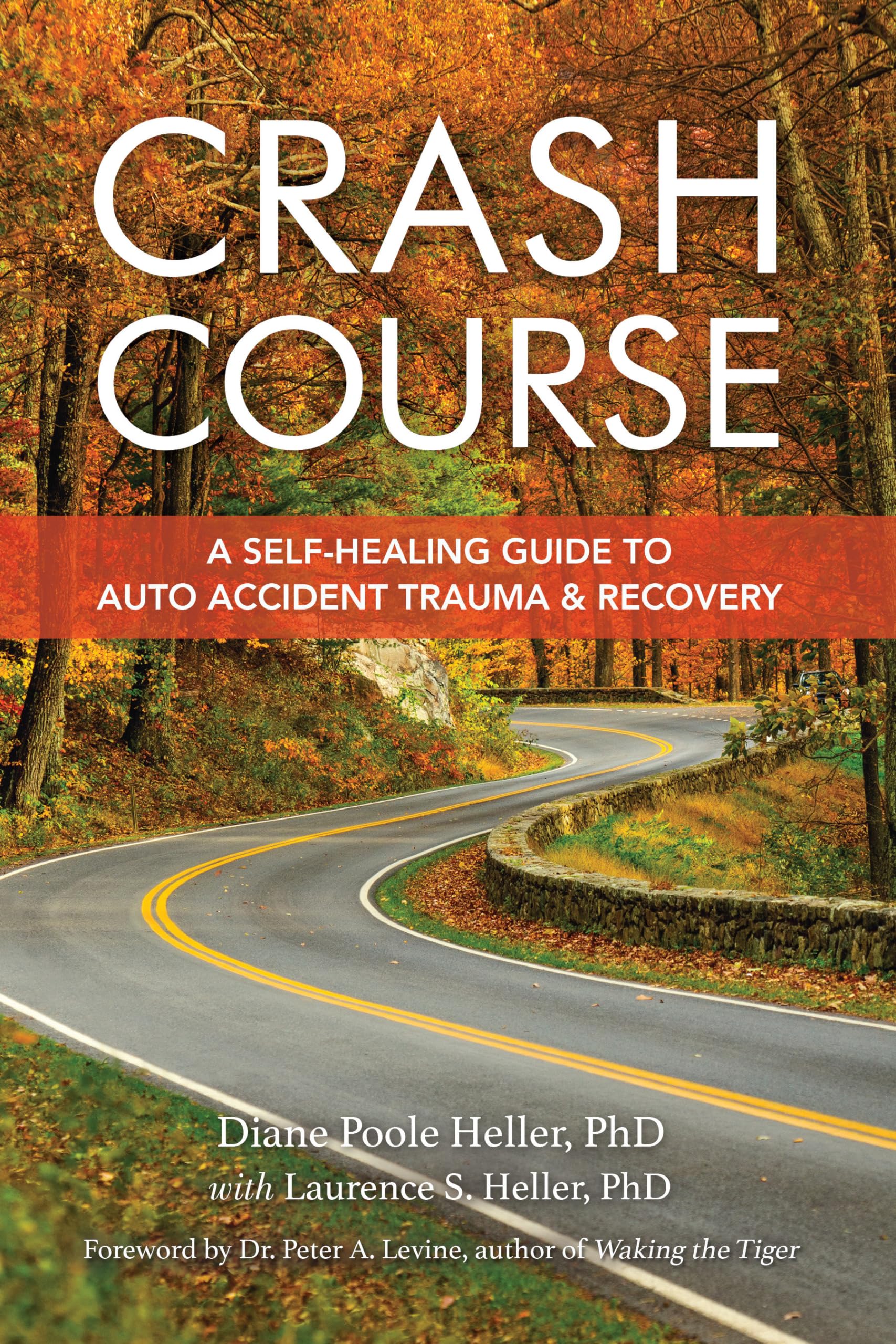 Crash Course: A Self-Healing Guide to Auto Accident Trauma and Recovery book cover