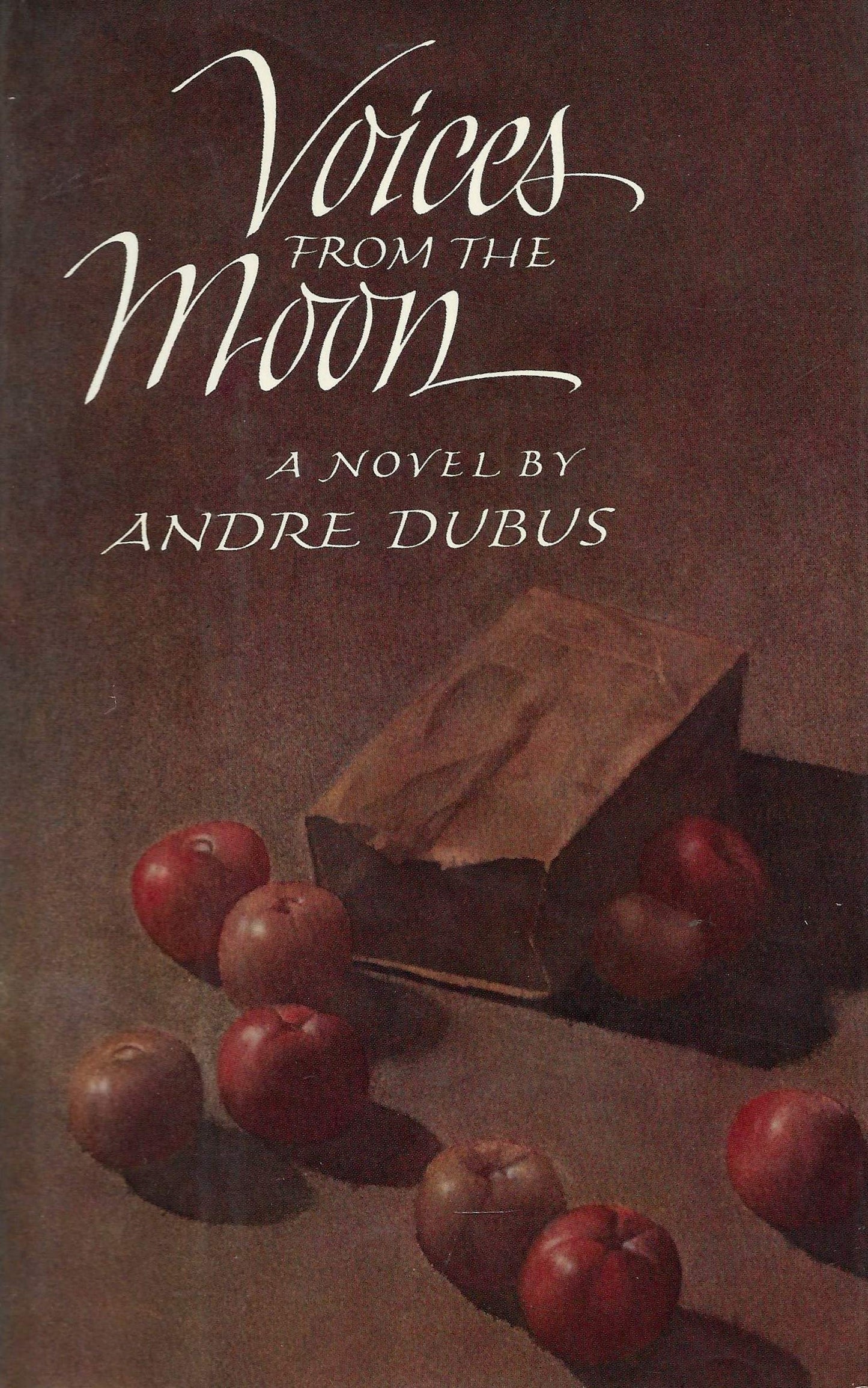Voices From the Moon book cover