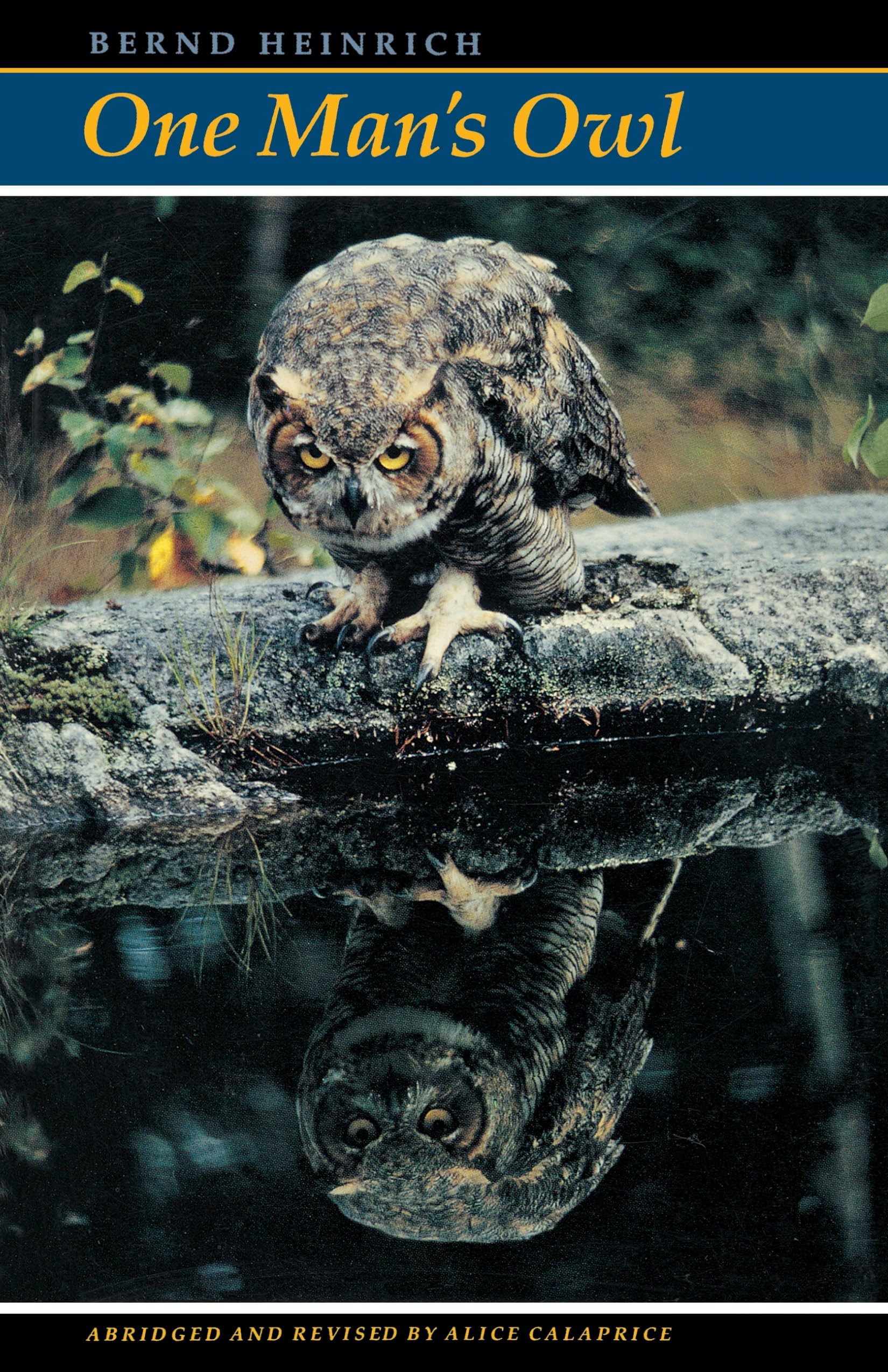 One Man's Owl: Abridged Edition (Edition) book cover