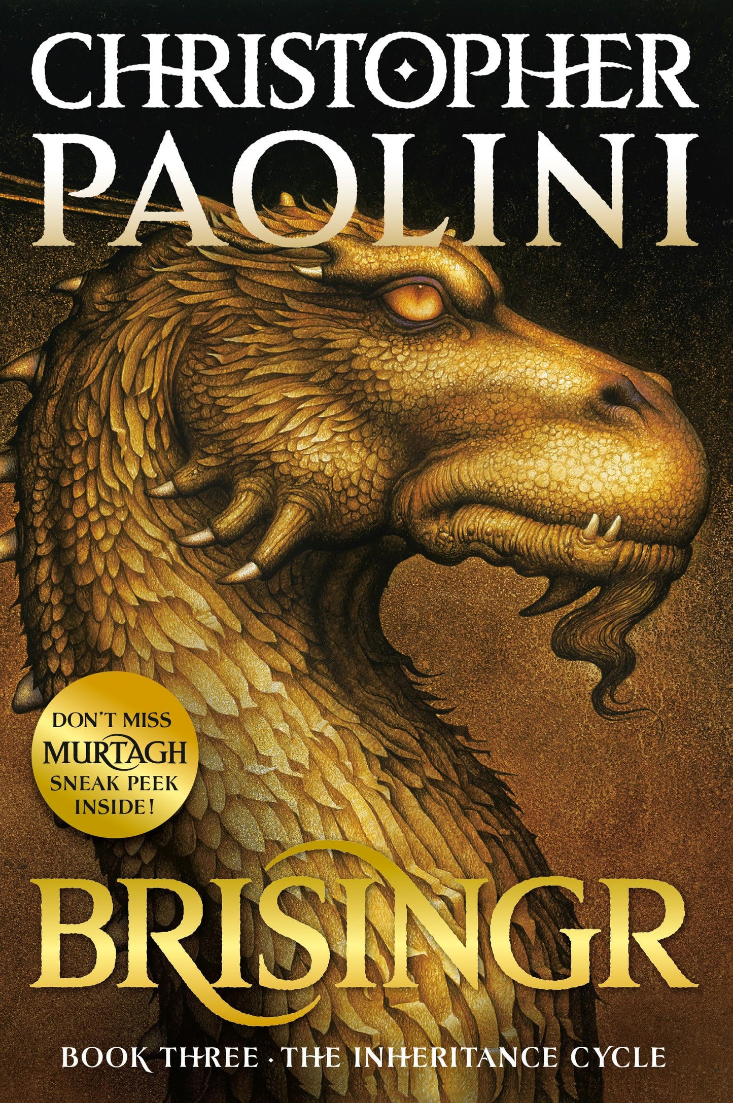 Brisingr: Book III book cover