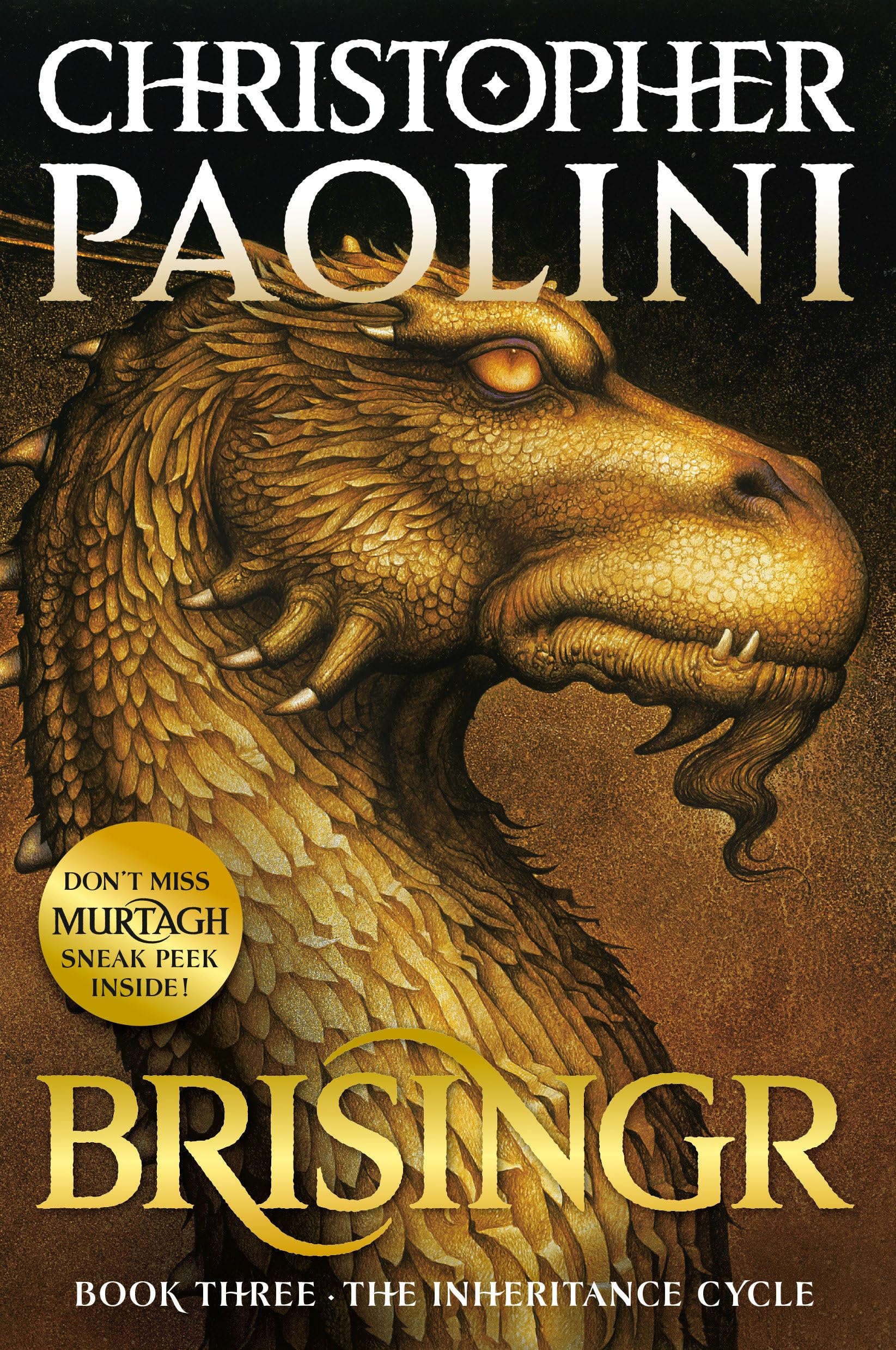 Brisingr: Book III book cover
