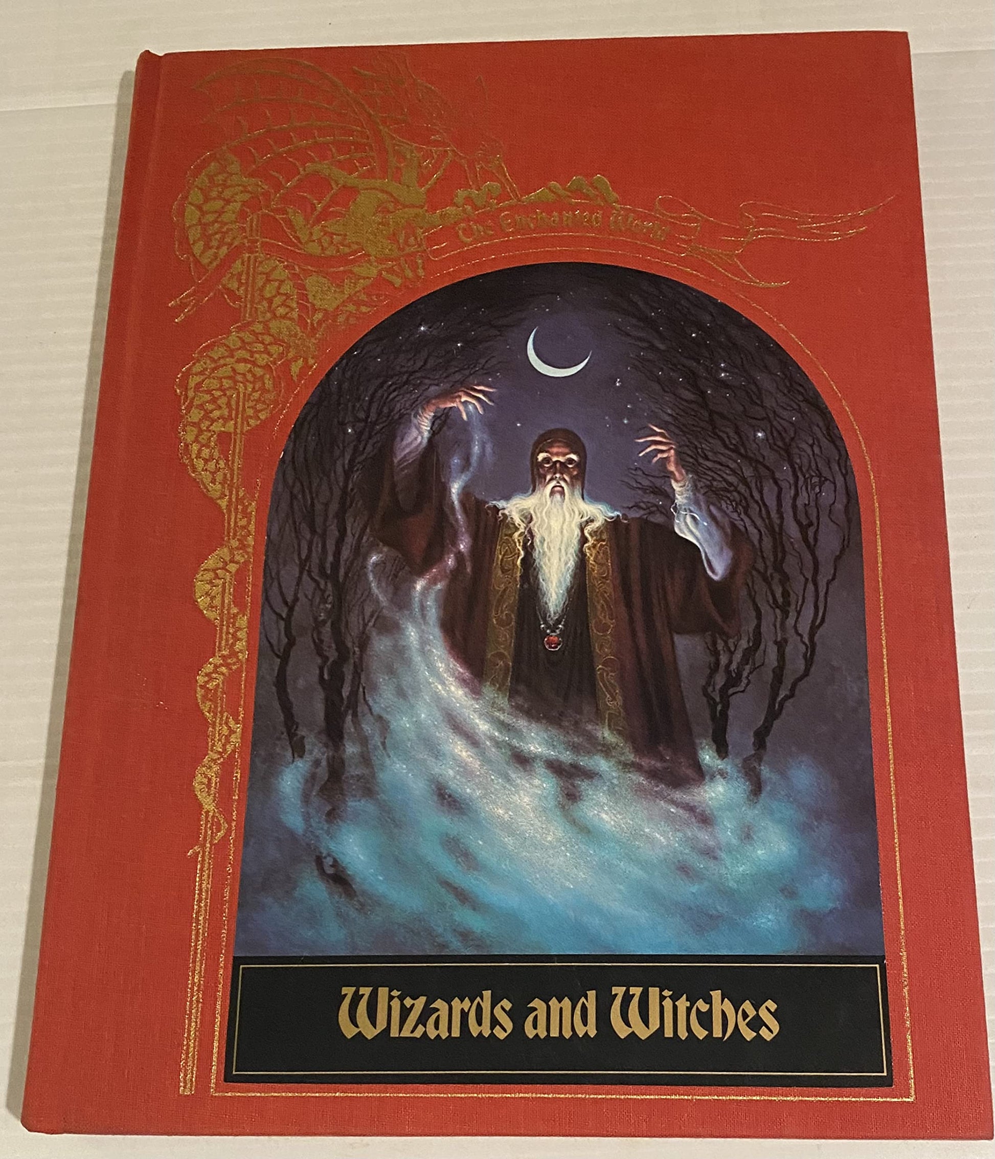Wizards and Witches book cover
