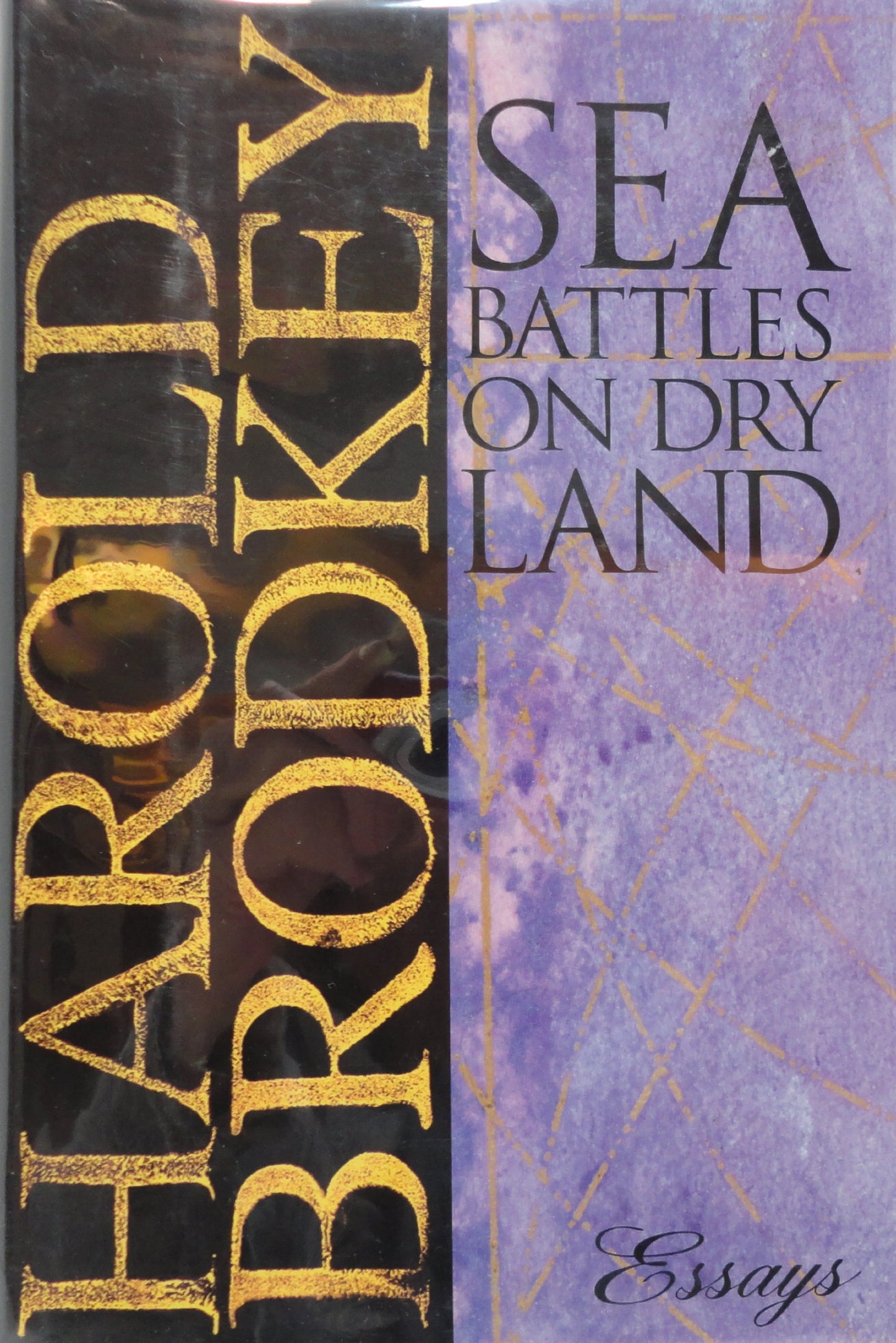 Sea Battles on Dry Land book cover