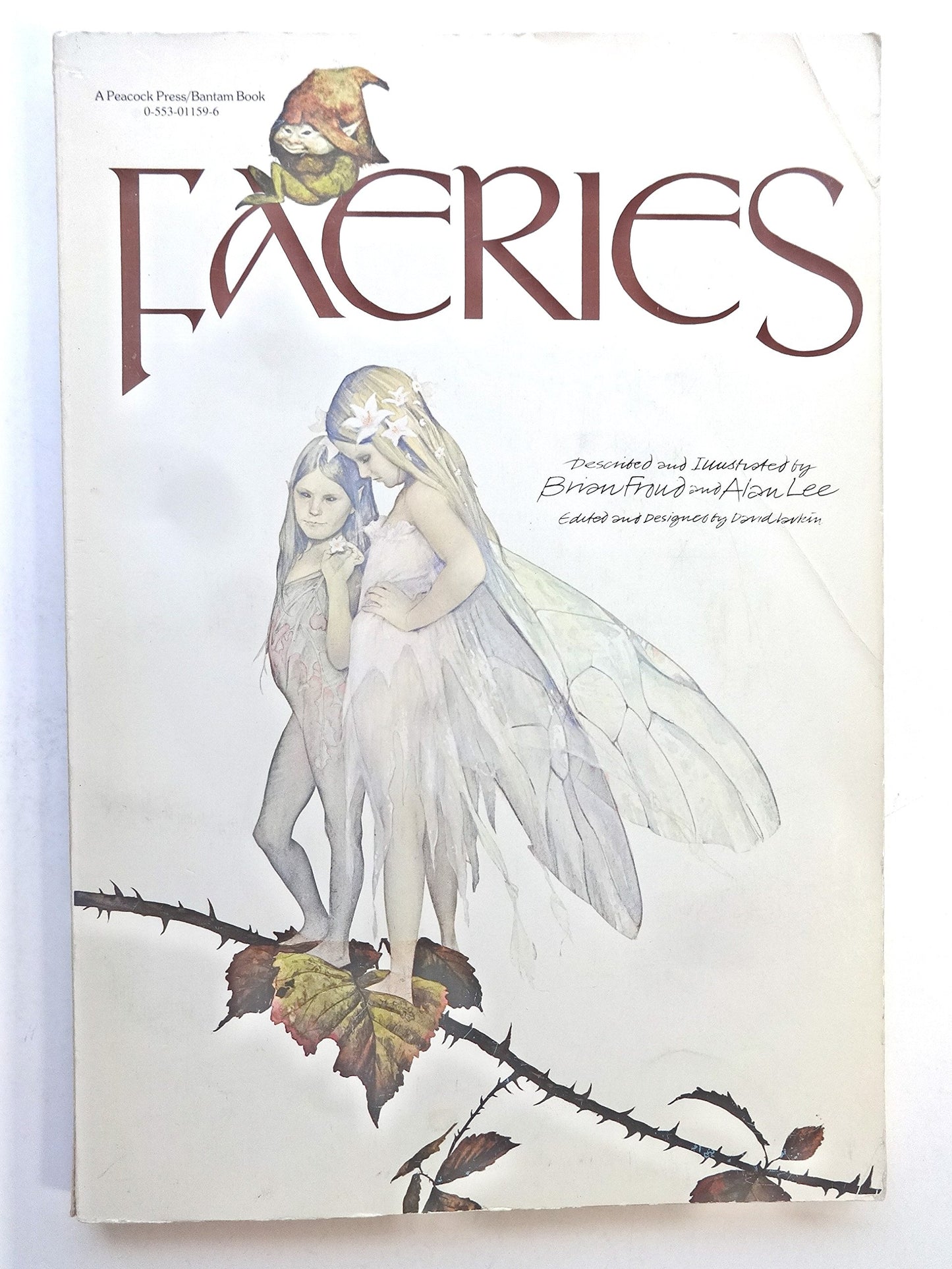 Faeries book cover