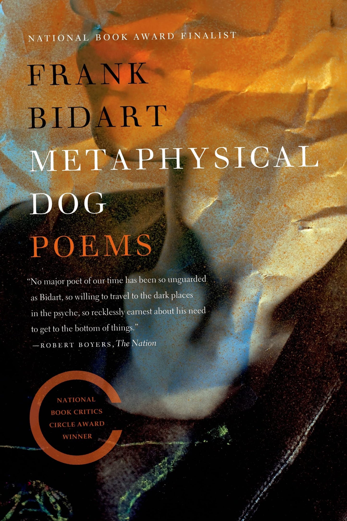 Metaphysical Dog book cover