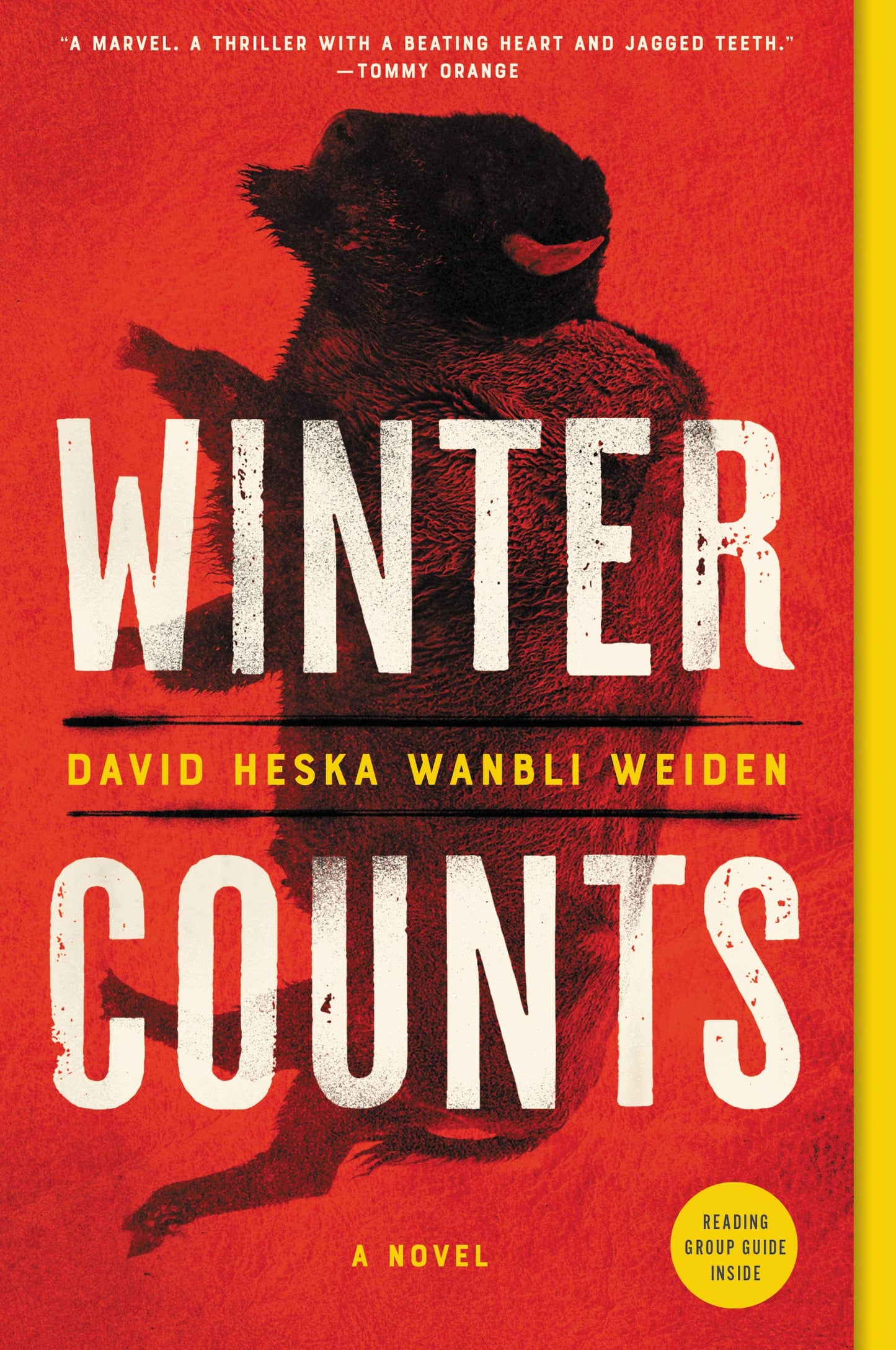 Winter Counts: A Novel book cover
